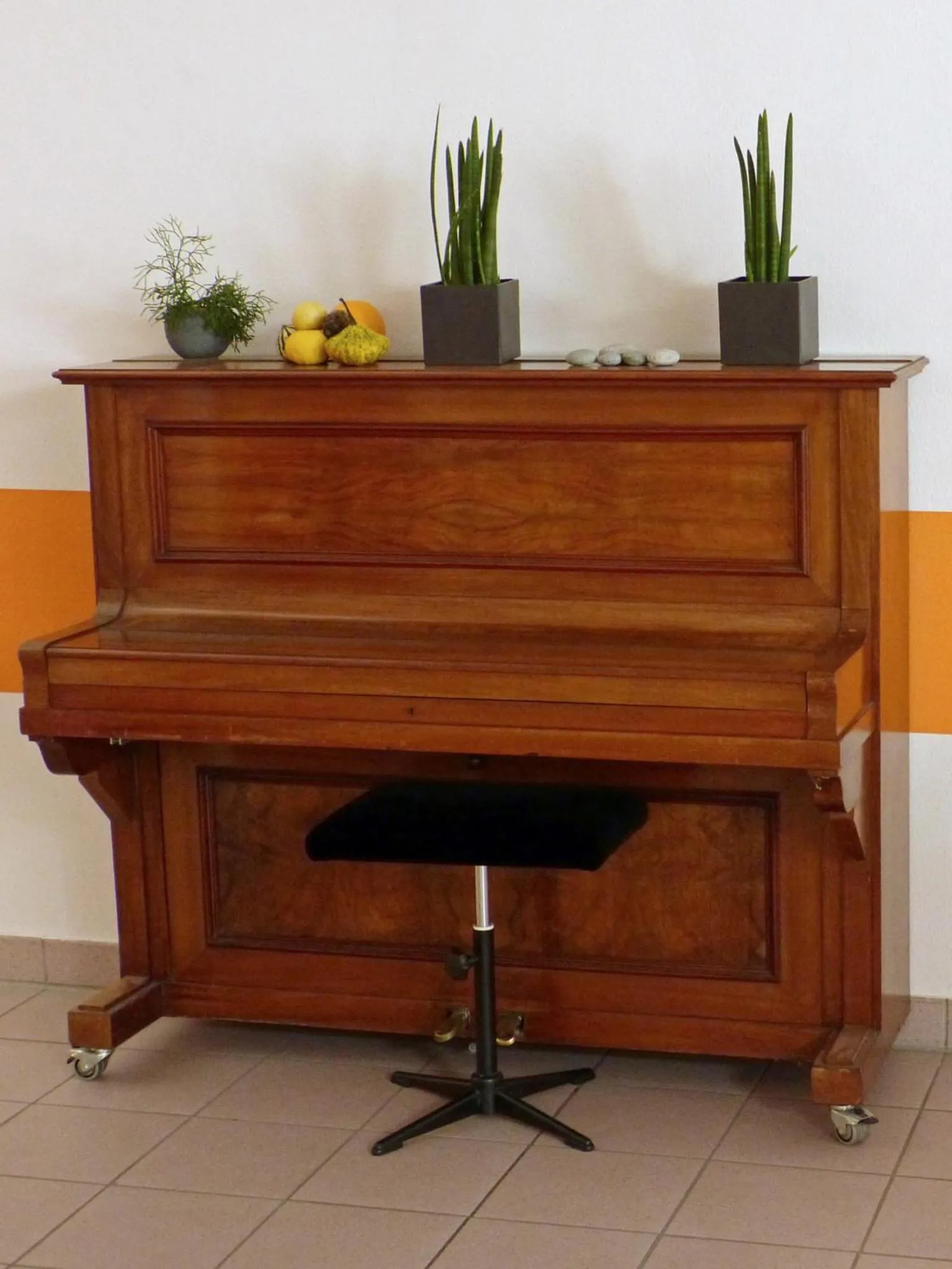 Other in CJD Bonn Castell