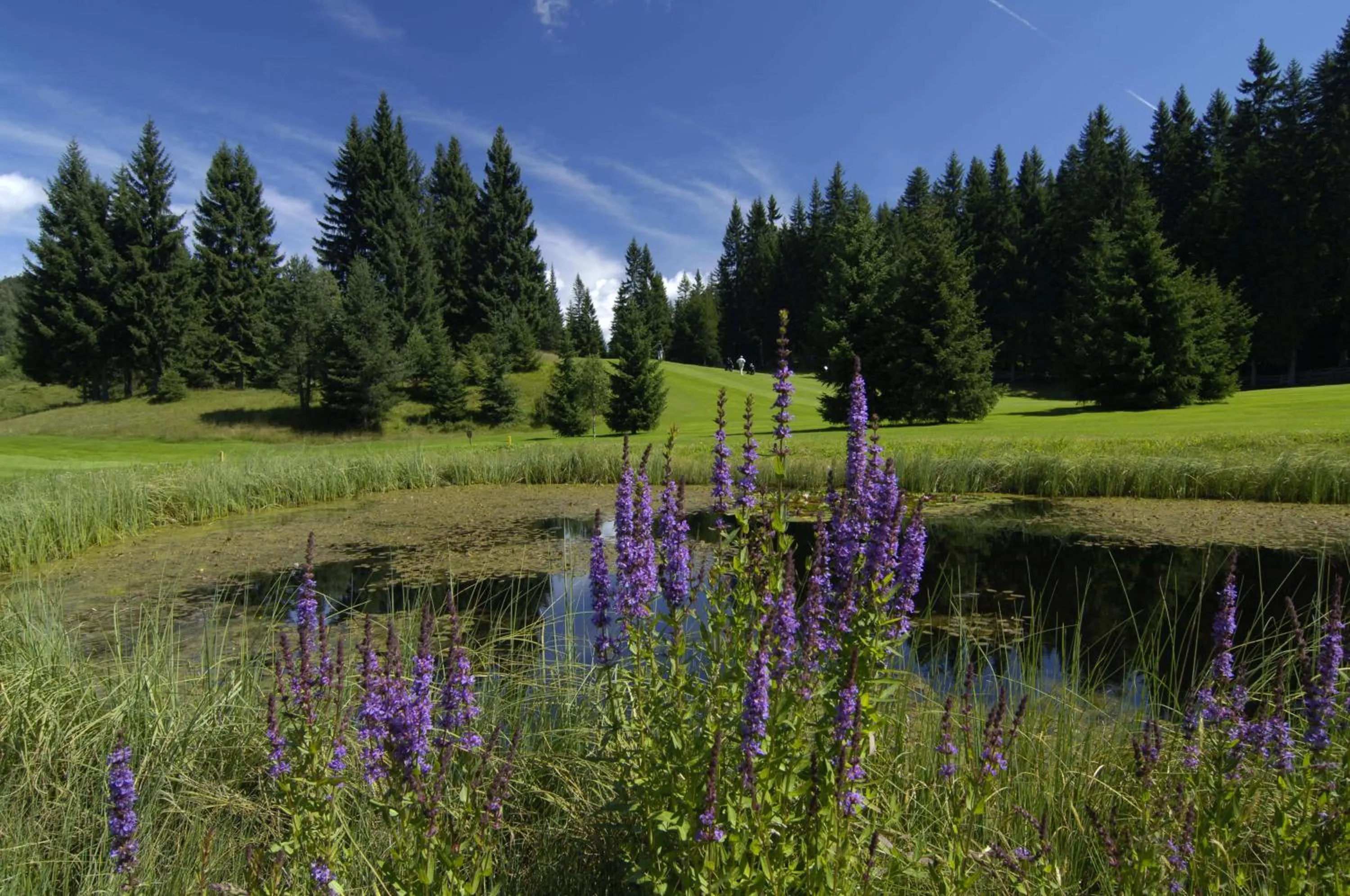 Activities in A-VITA Viktoria & A-VITA living luxury apartments