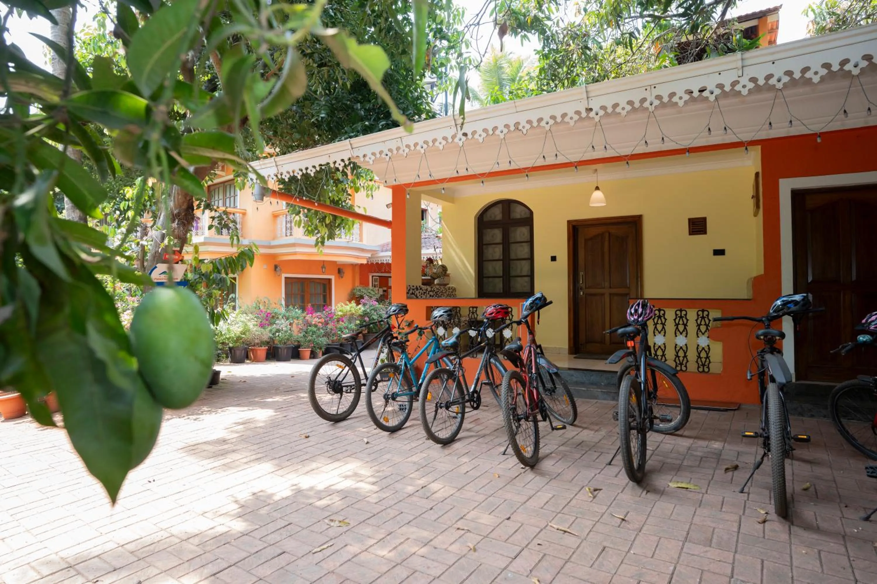 Resort Palmeiras Dourado