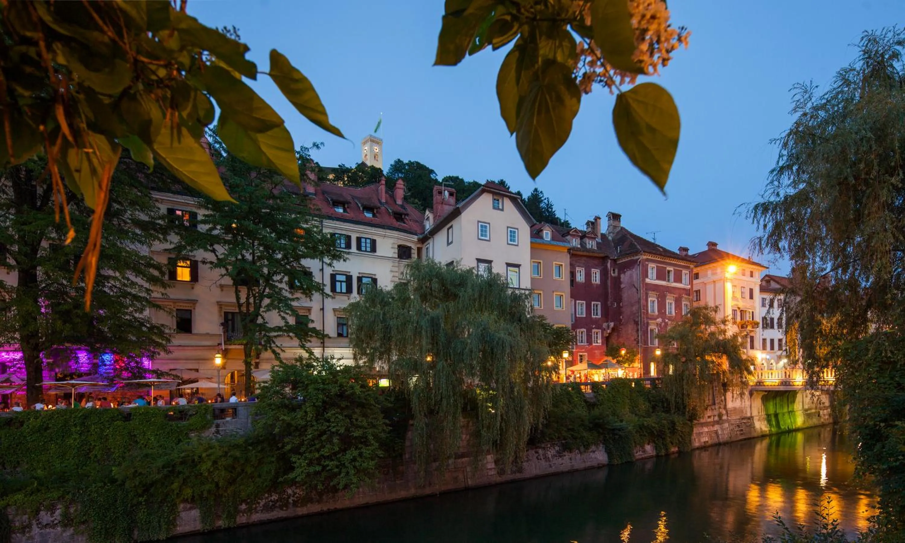 Facade/entrance in Kollmann Rooms and Apartments