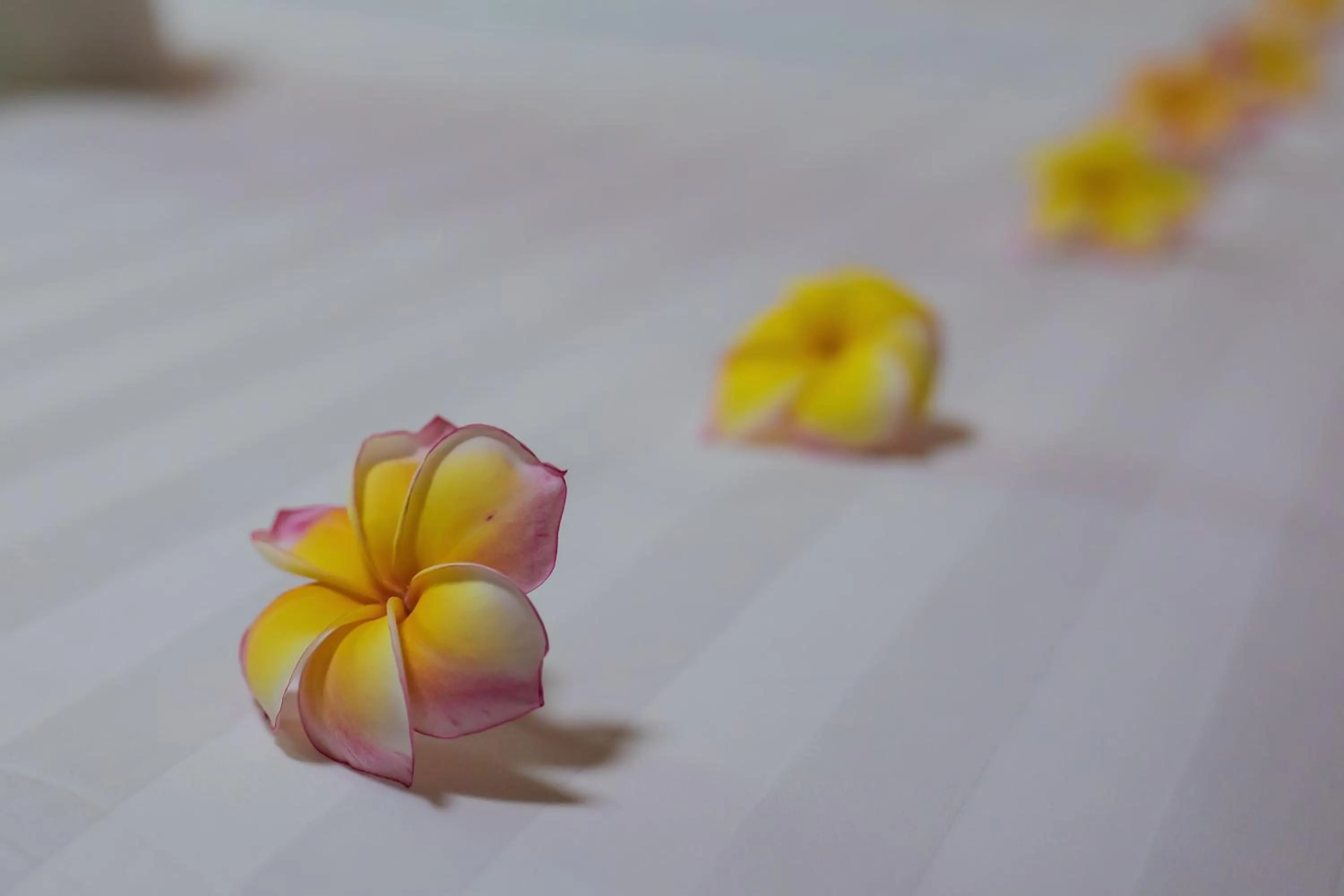 Decorative detail in Chareena Beachside