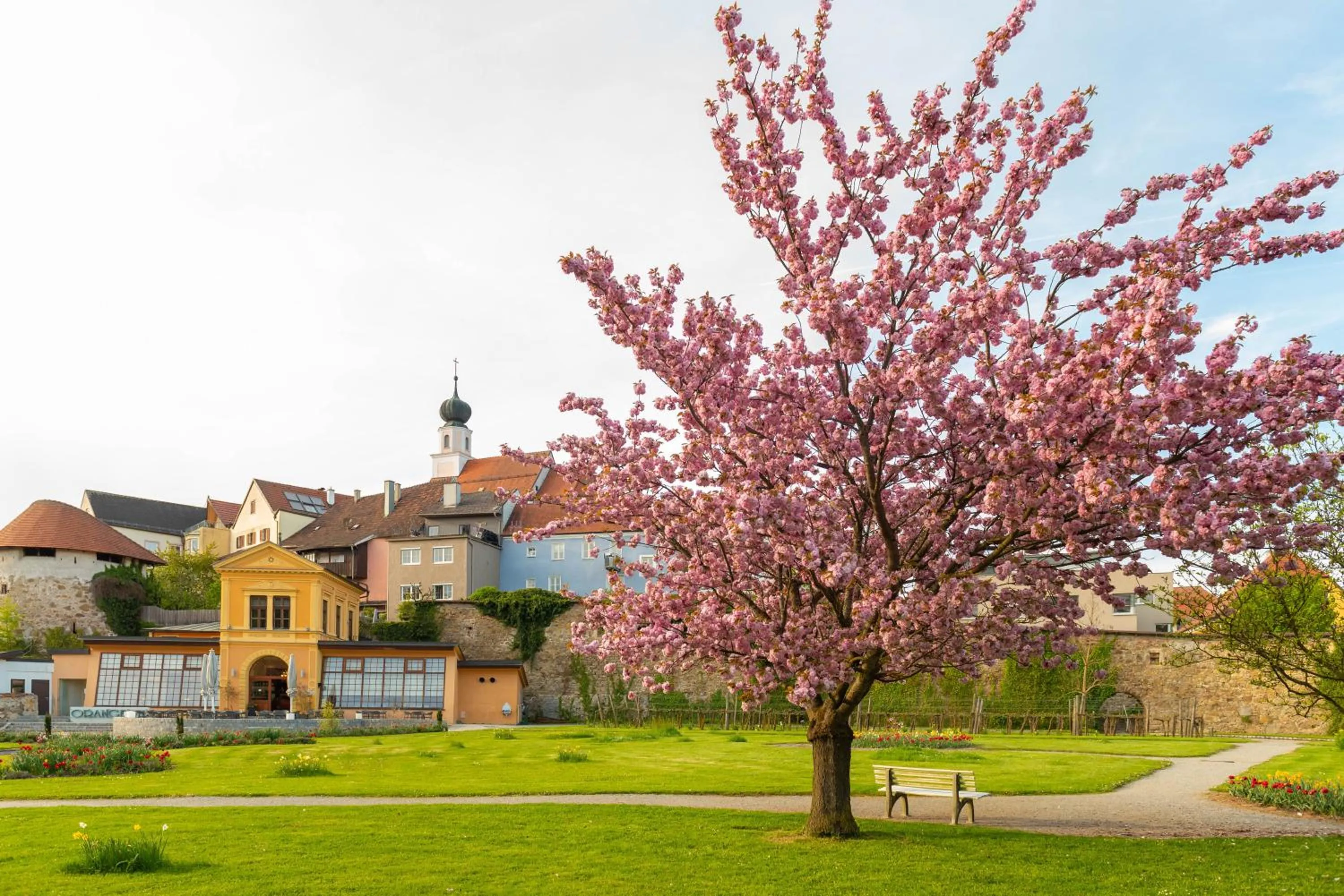 Area and facilities in Hotel Forstinger - Boutique Hotel Schärding