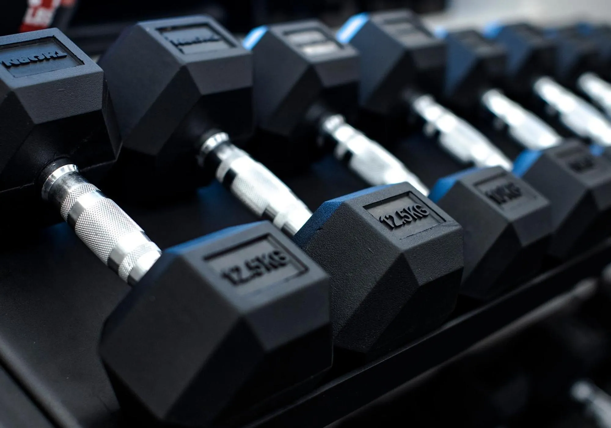 Activities in Rezydencja Sowa