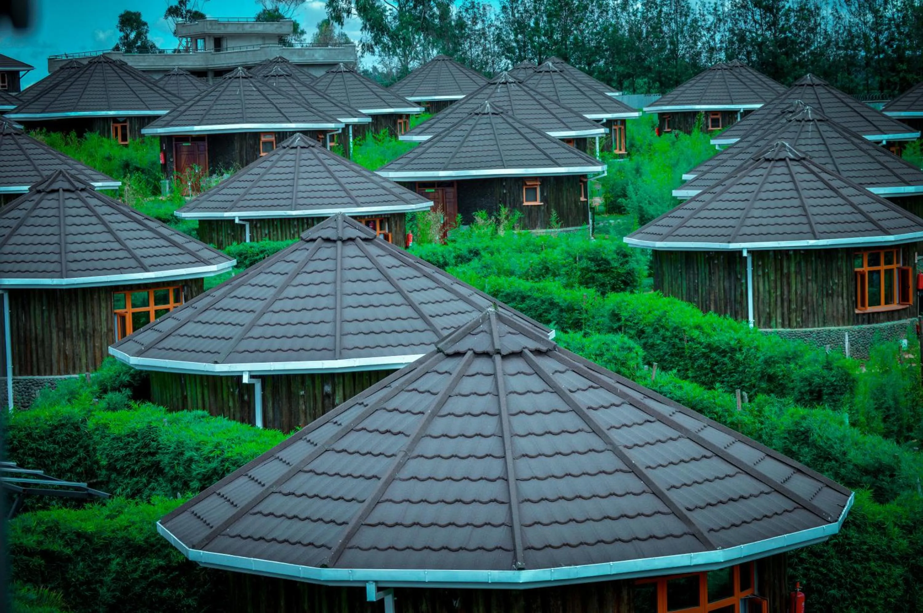 Garden in Aberdare Prestige & Royal Cottages