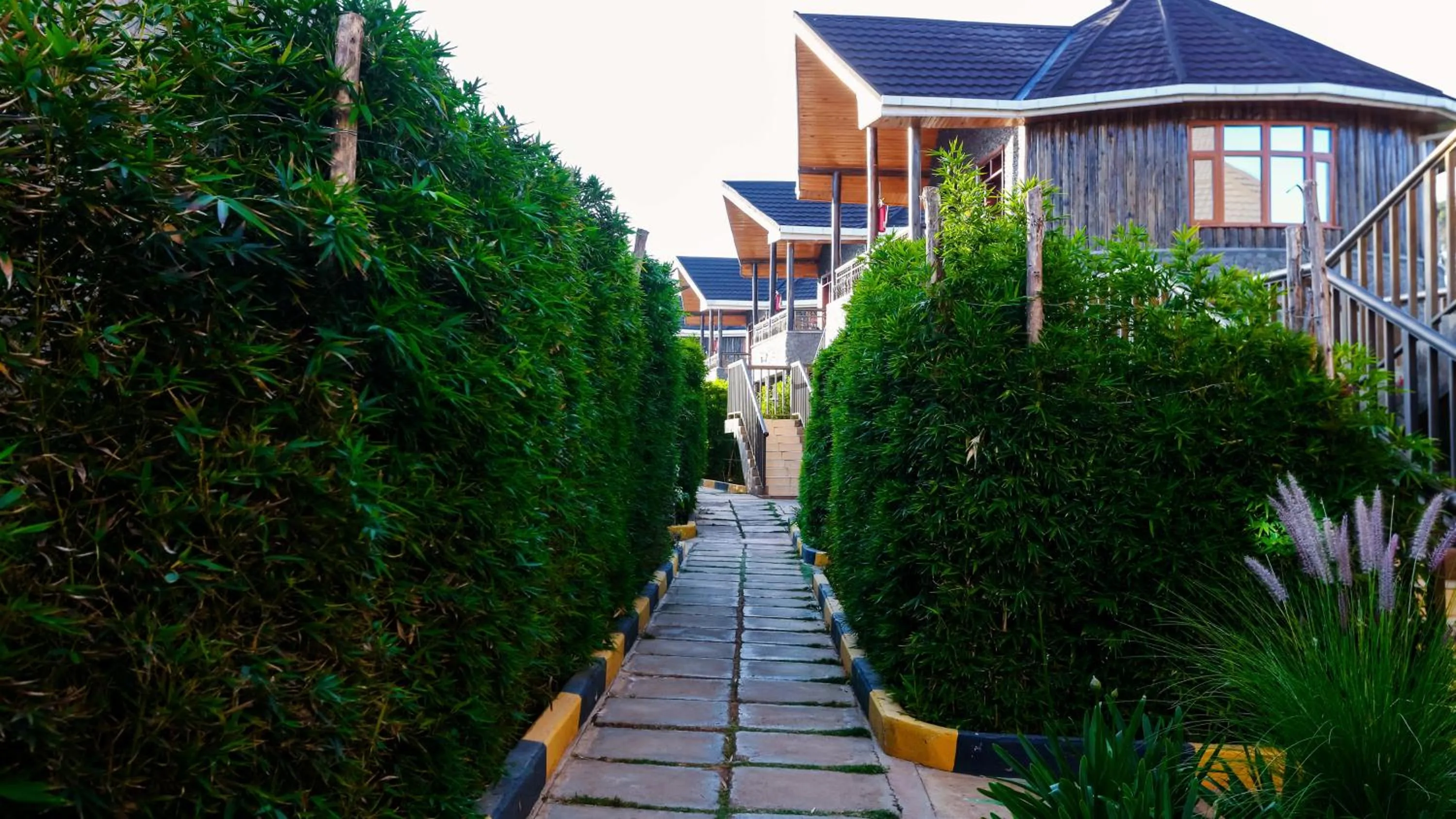Garden view in Aberdare Prestige & Royal Cottages