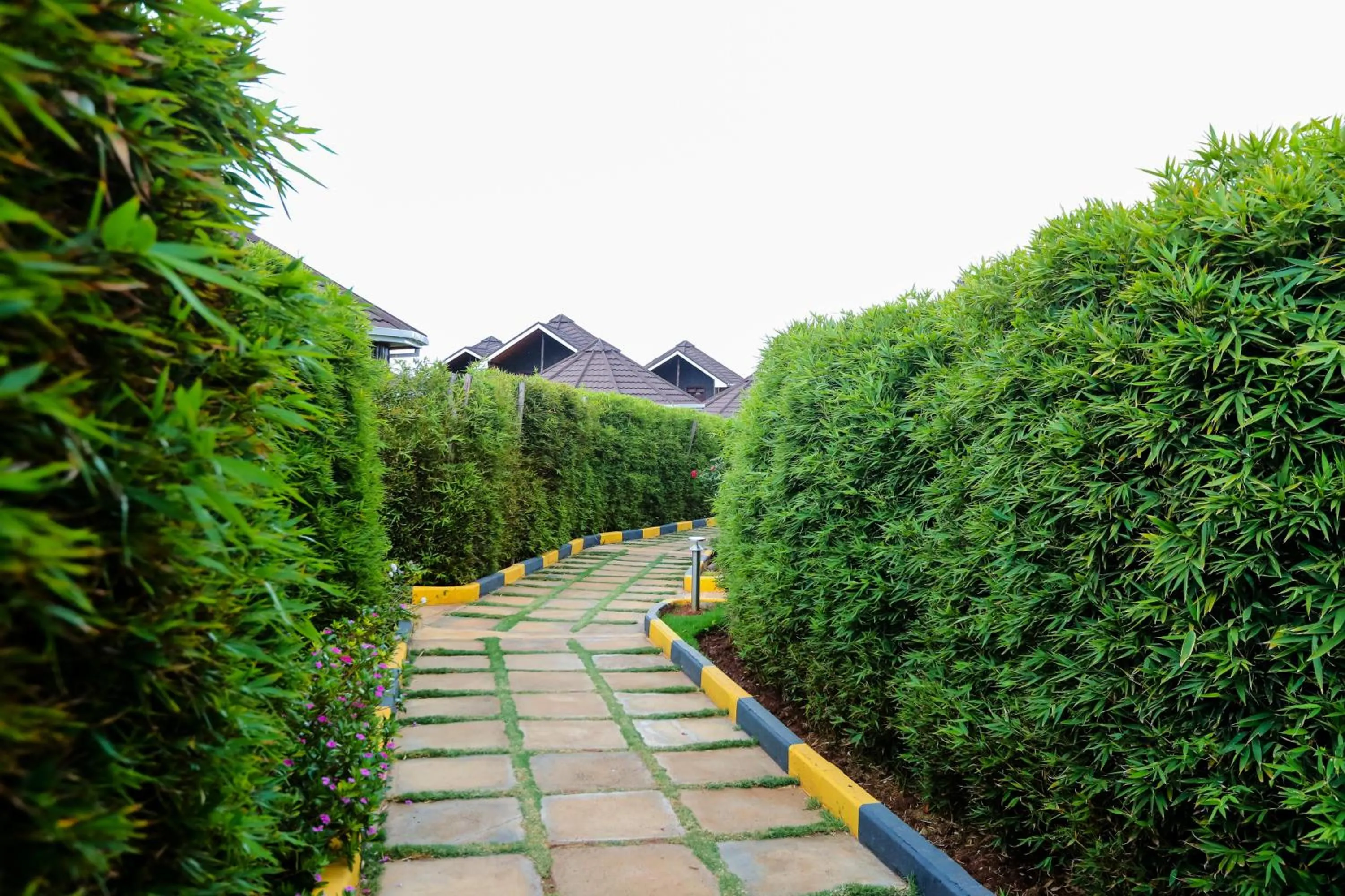 Day in Aberdare Prestige & Royal Cottages