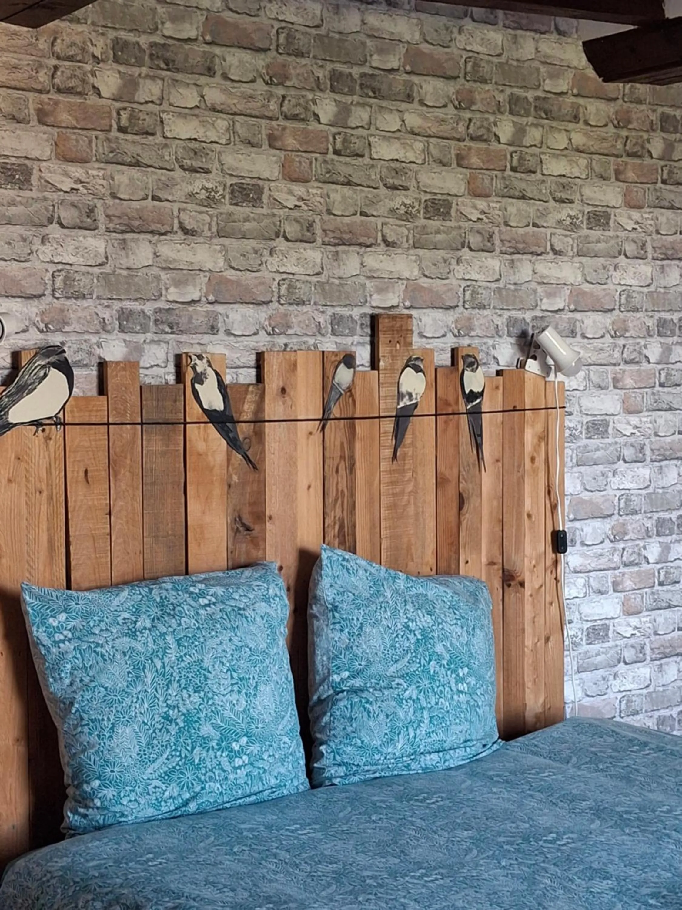 les hirondelles bleues