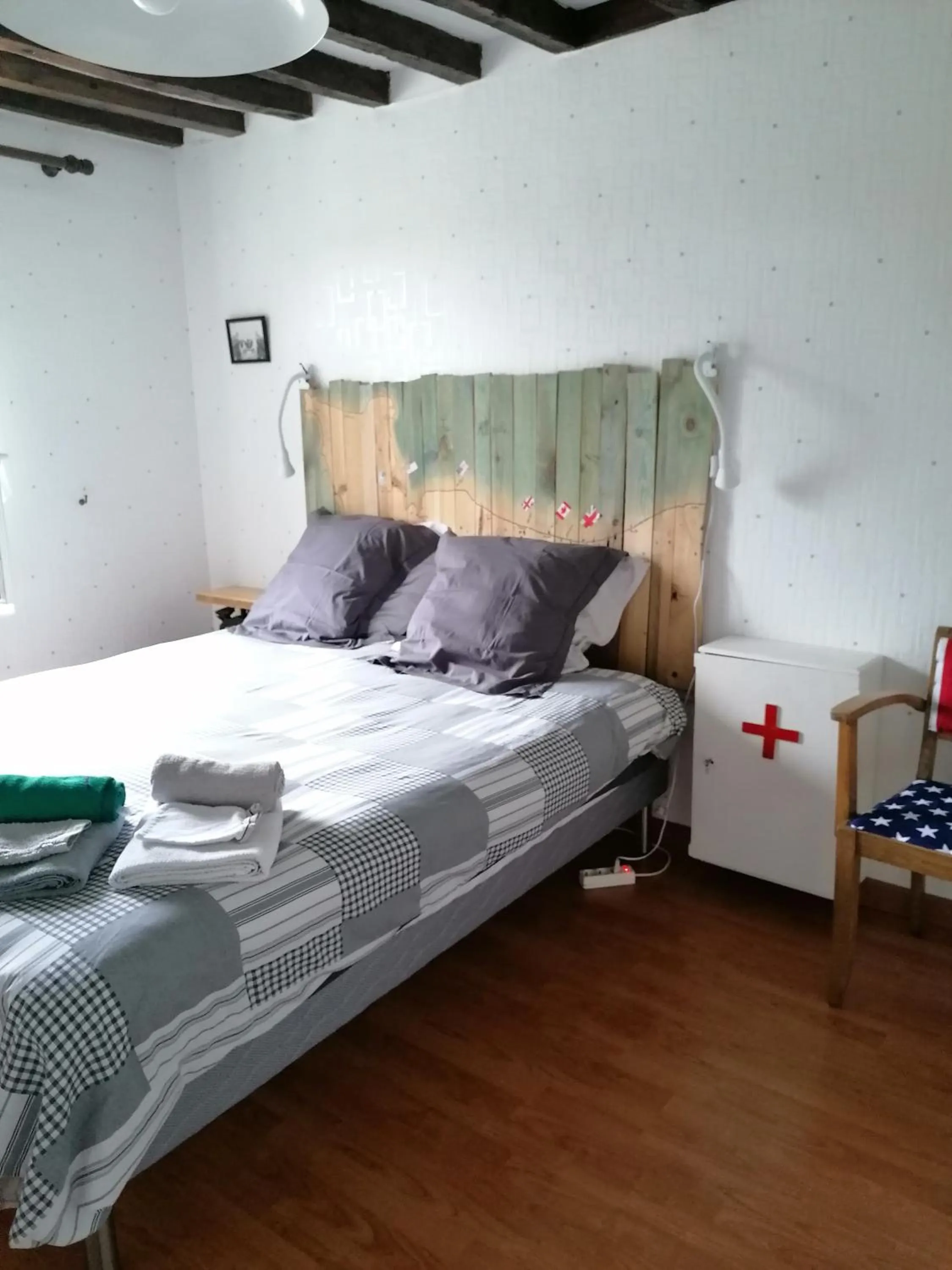 les hirondelles bleues