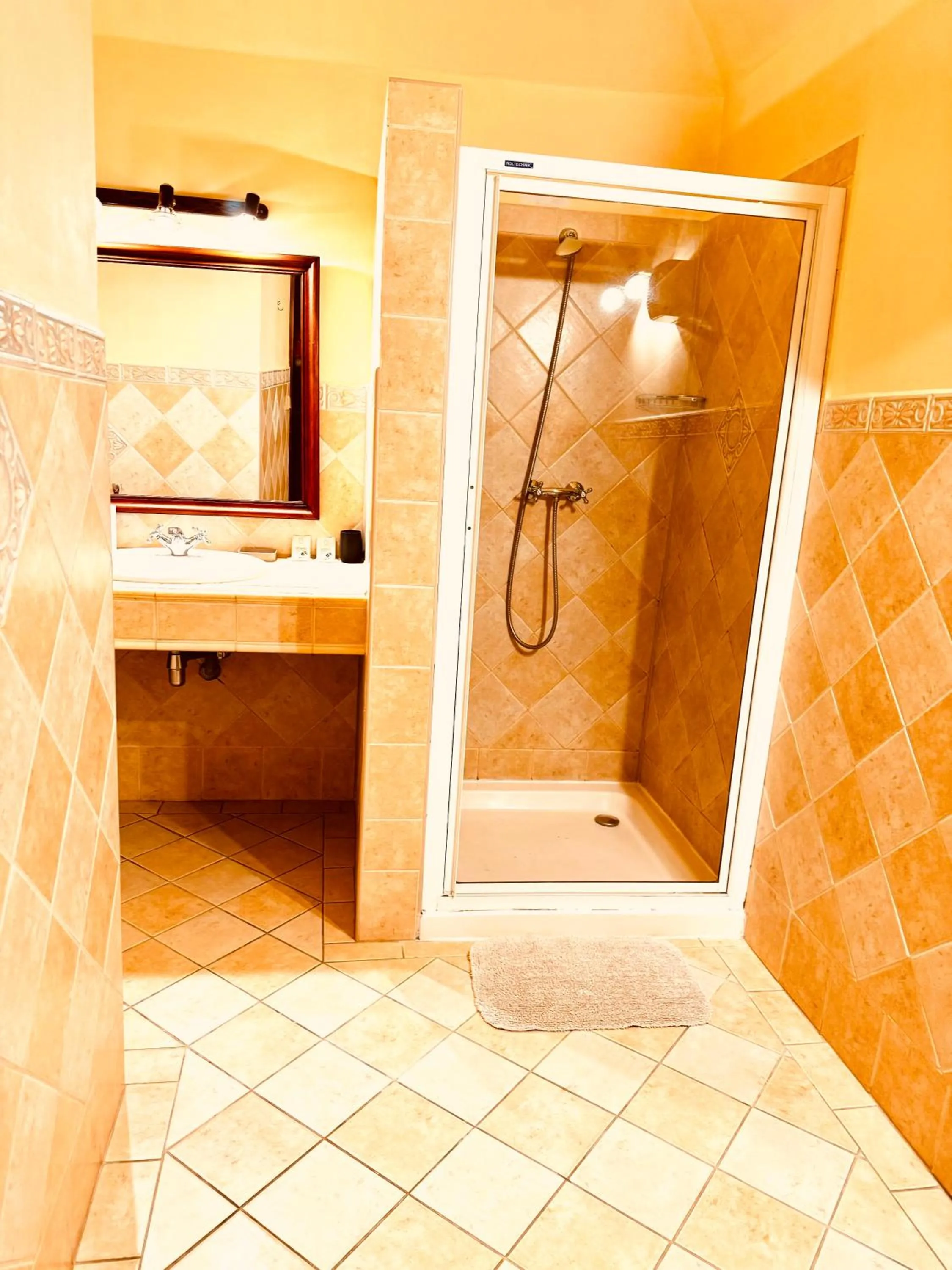 Shower in Hotel Maxim