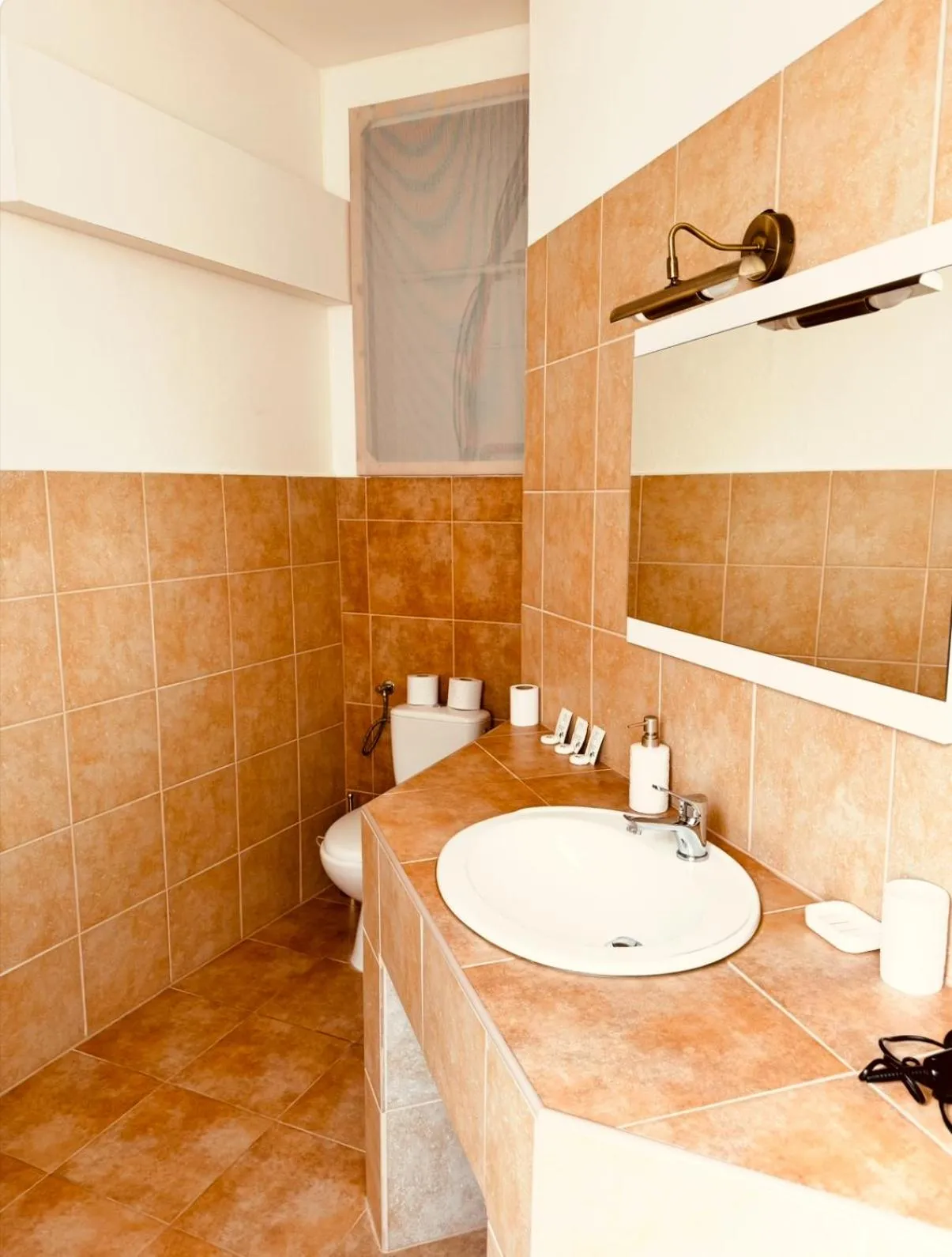 Toilet in Hotel Maxim