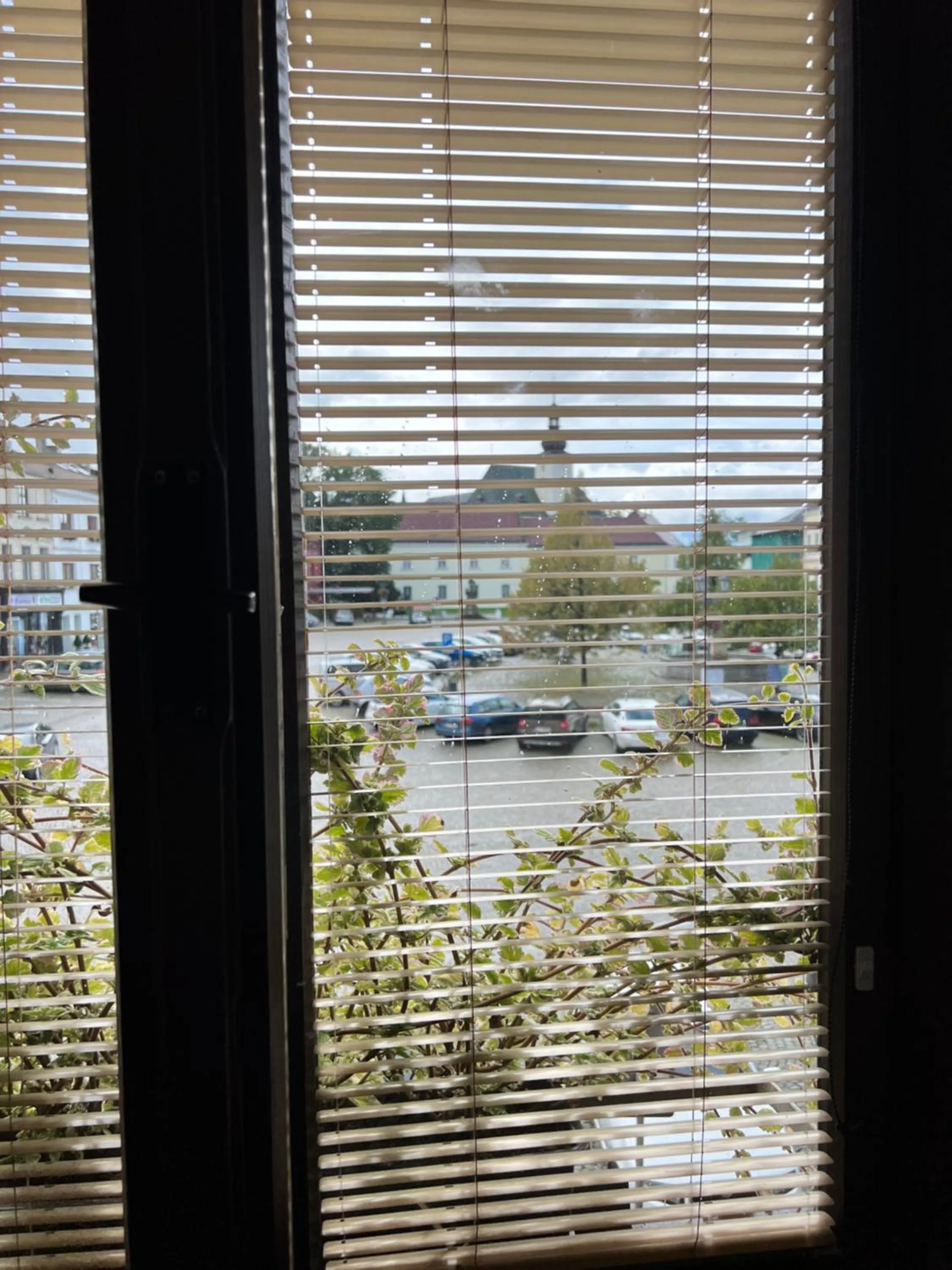 City view in Hotel Maxim