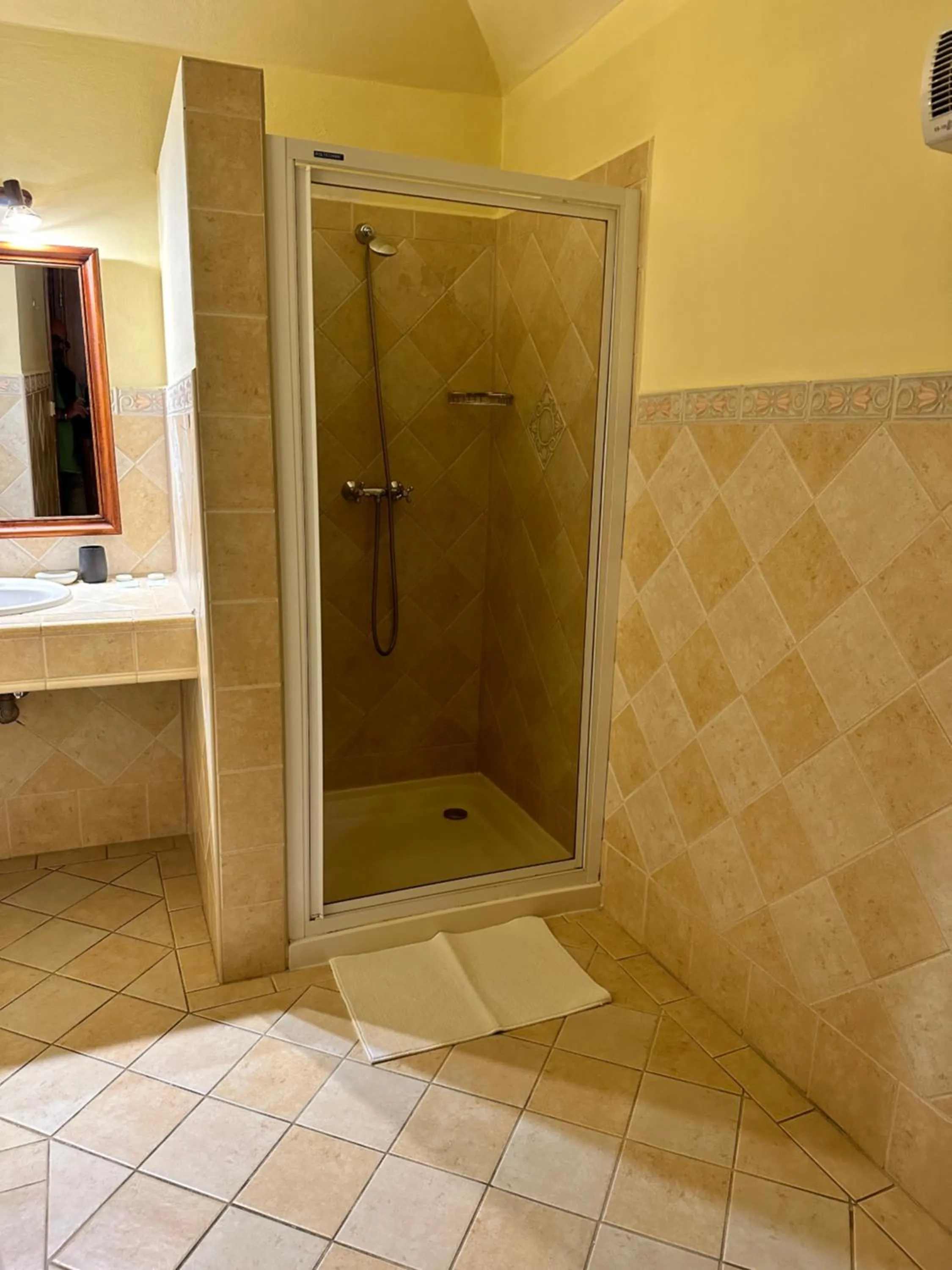 Shower in Hotel Maxim