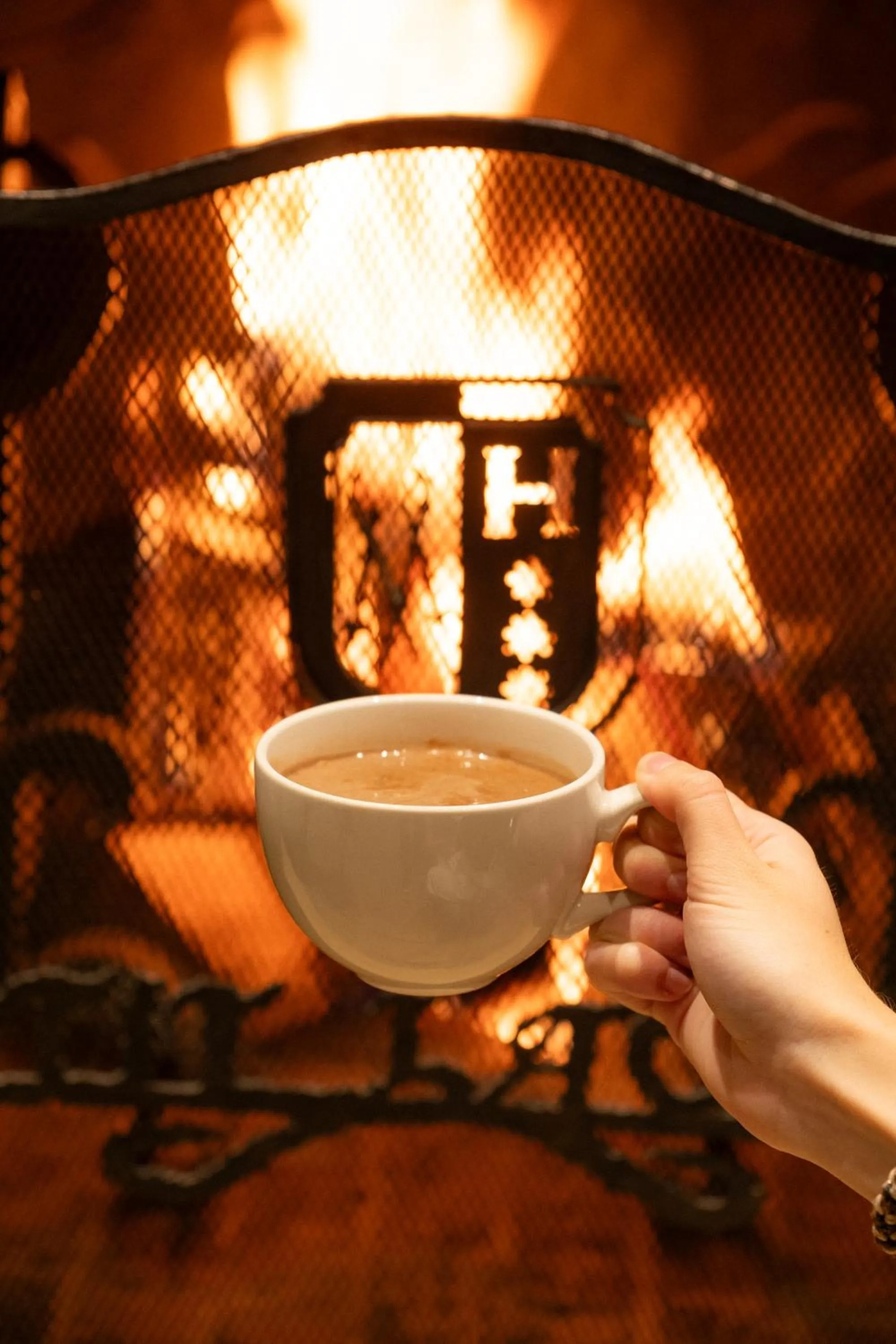 fireplace in Hotel Petit Lacreu