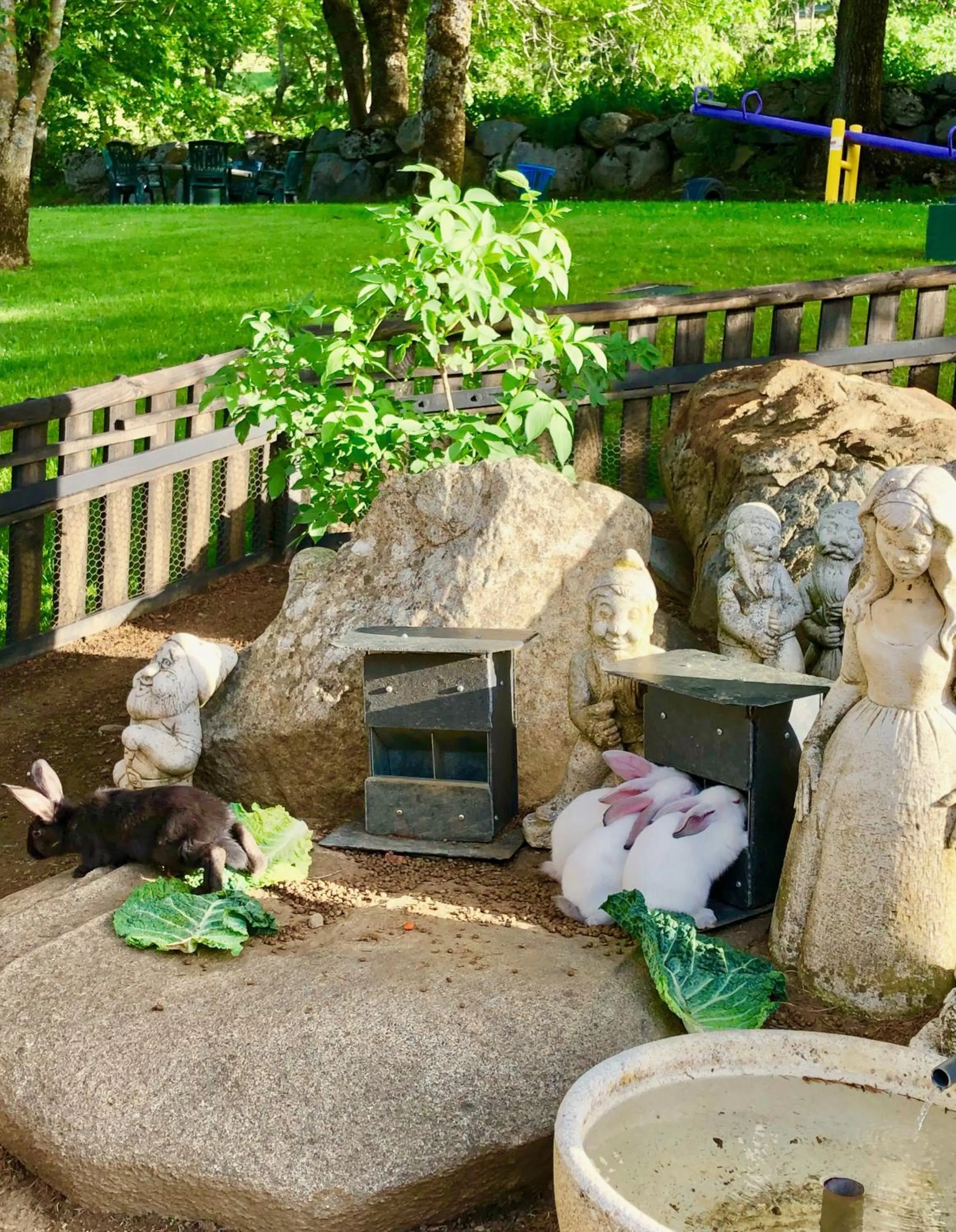 Garden in Hotel Petit Lacreu