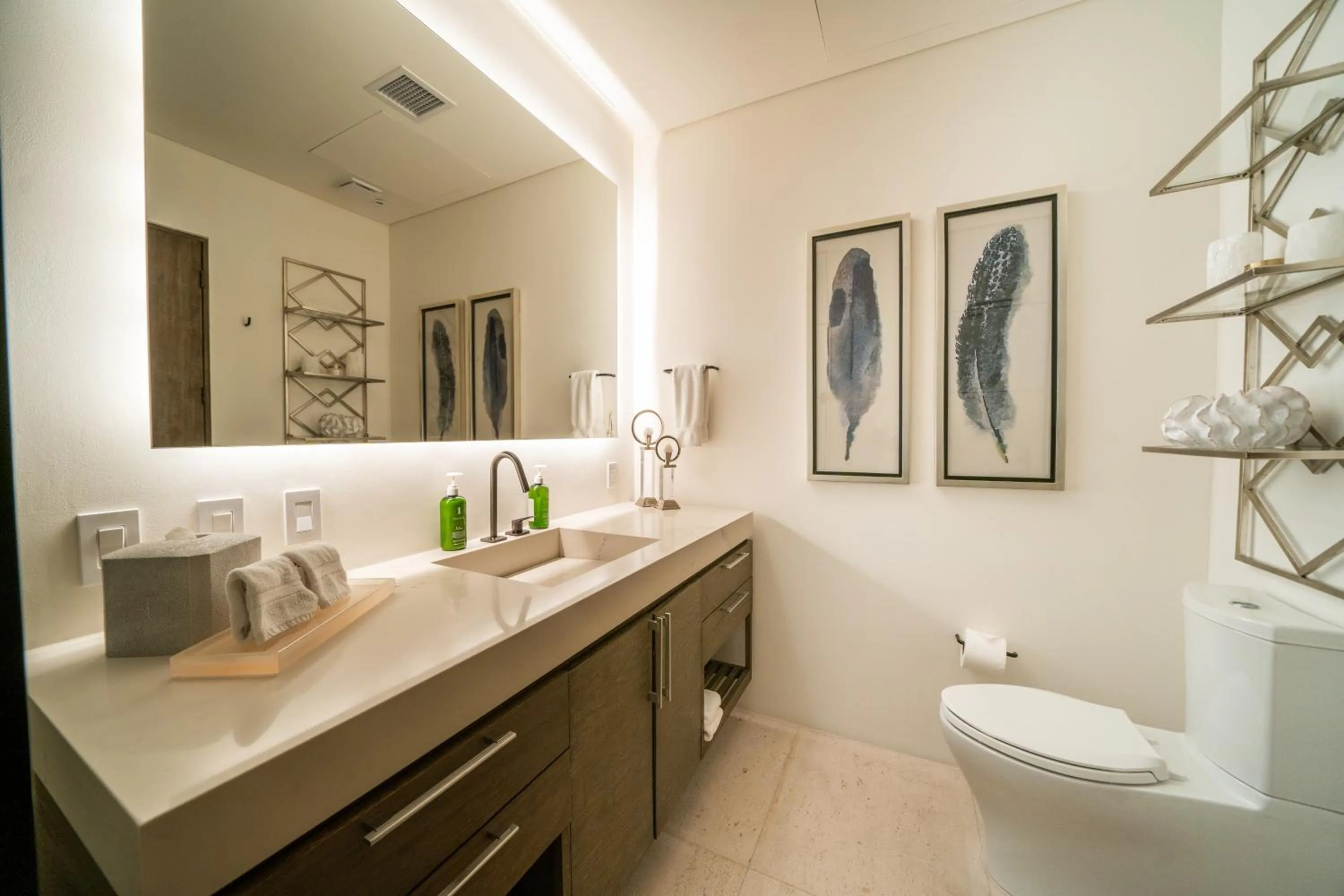 Toilet in 1 Homes Preview Cabo