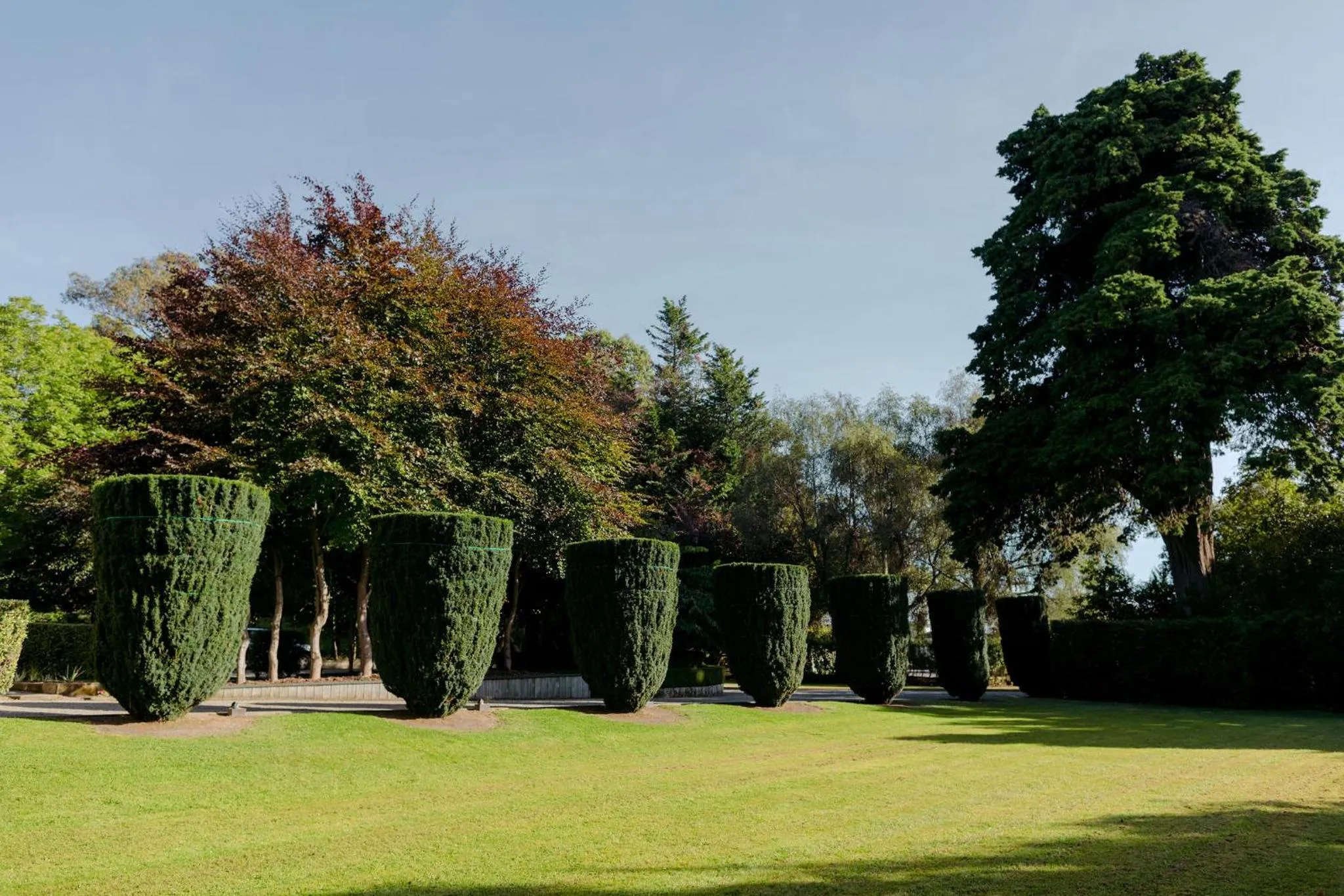 Garden in Casa Nova House