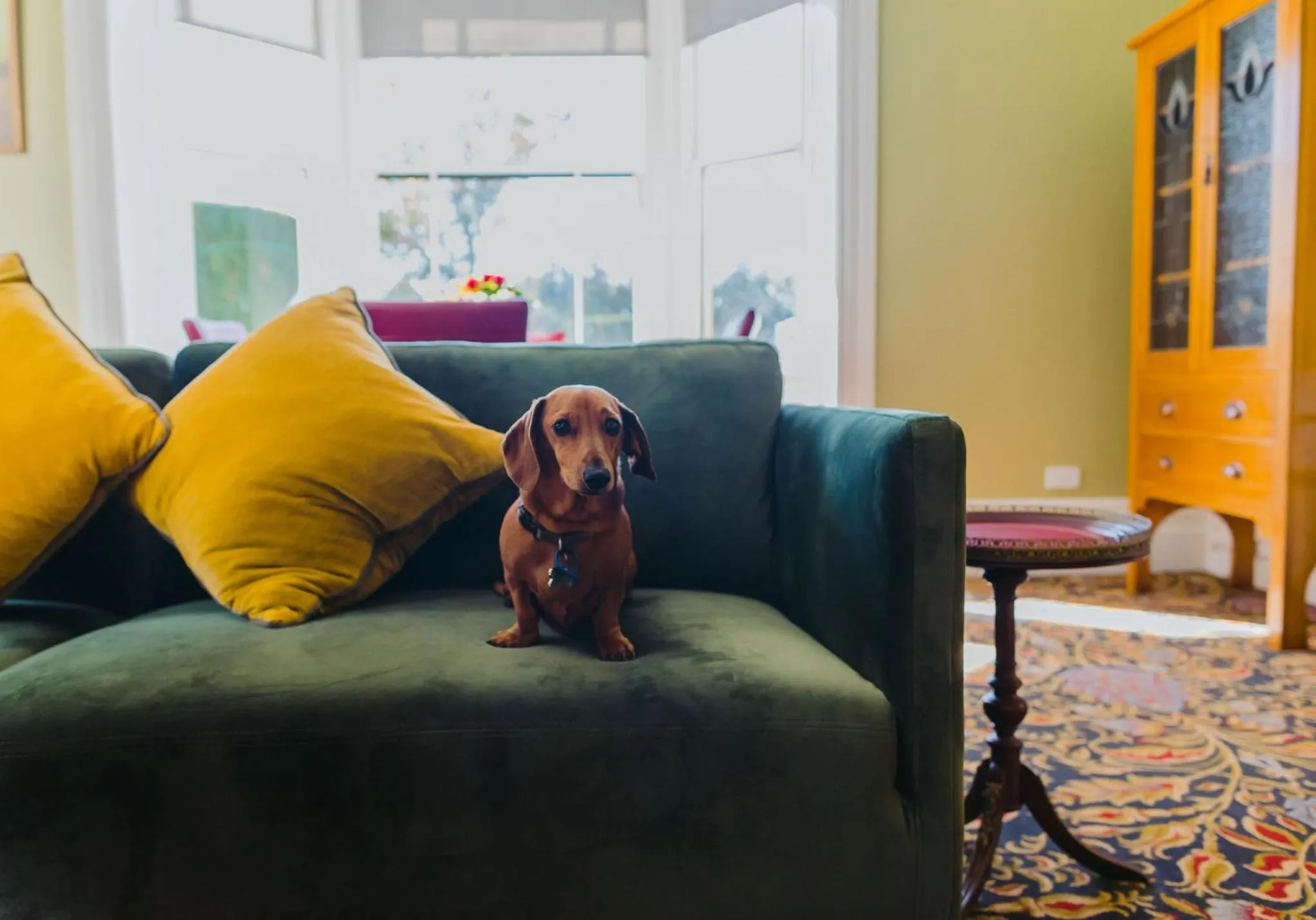 Staff in Casa Nova House