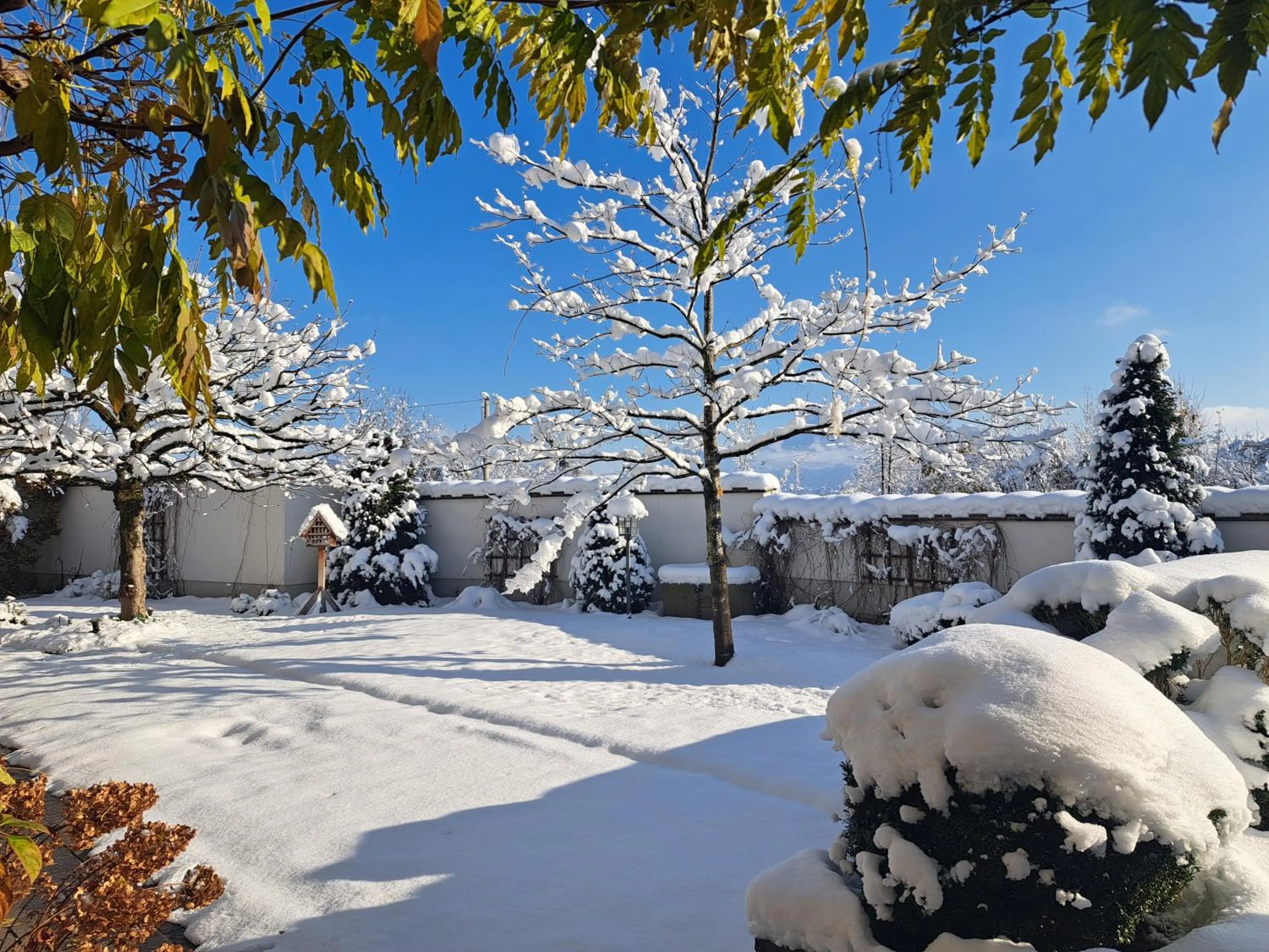 Property building in Hotel Gasthof Brandstätter