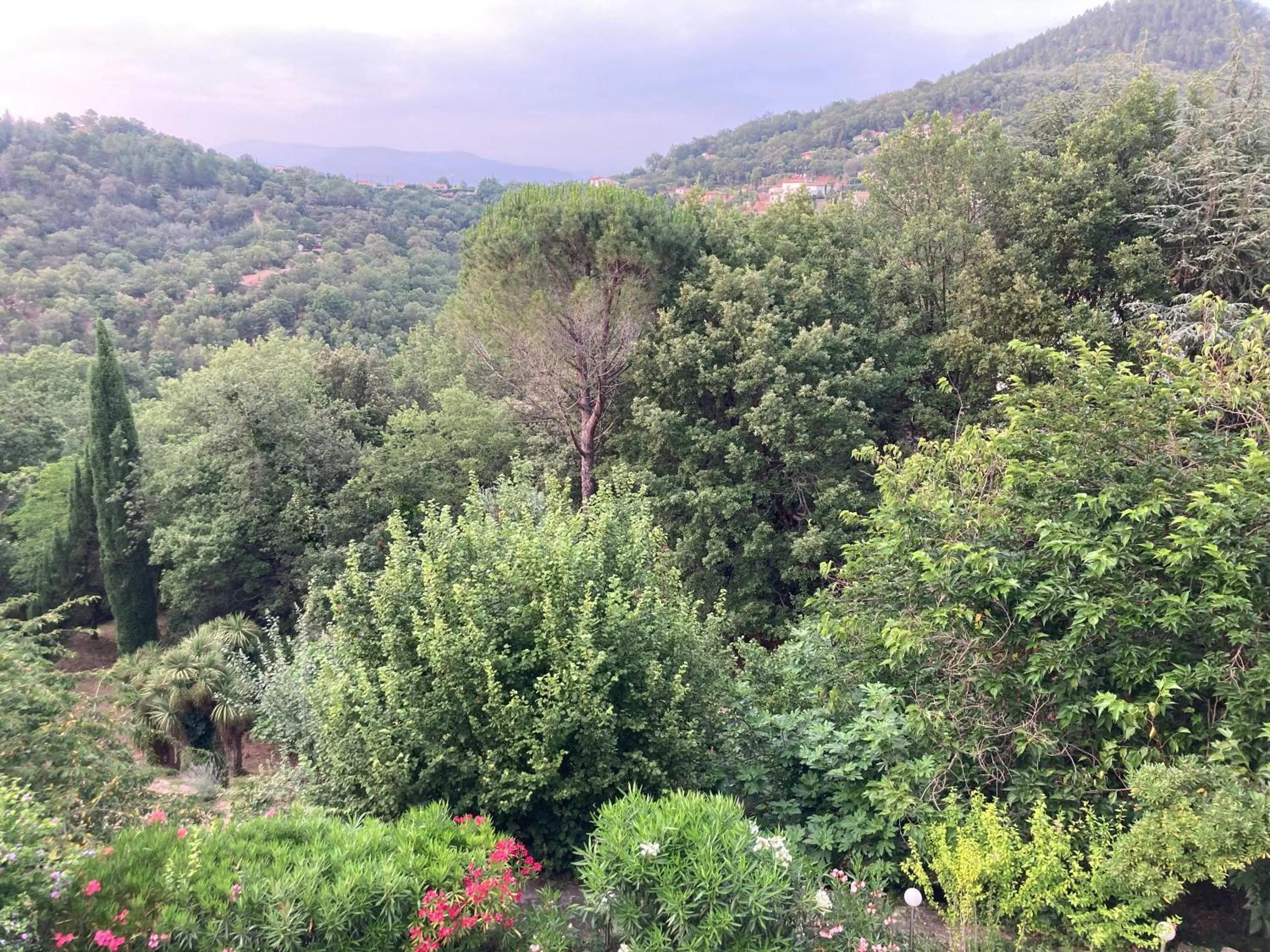 Le Mas de la Verrerie