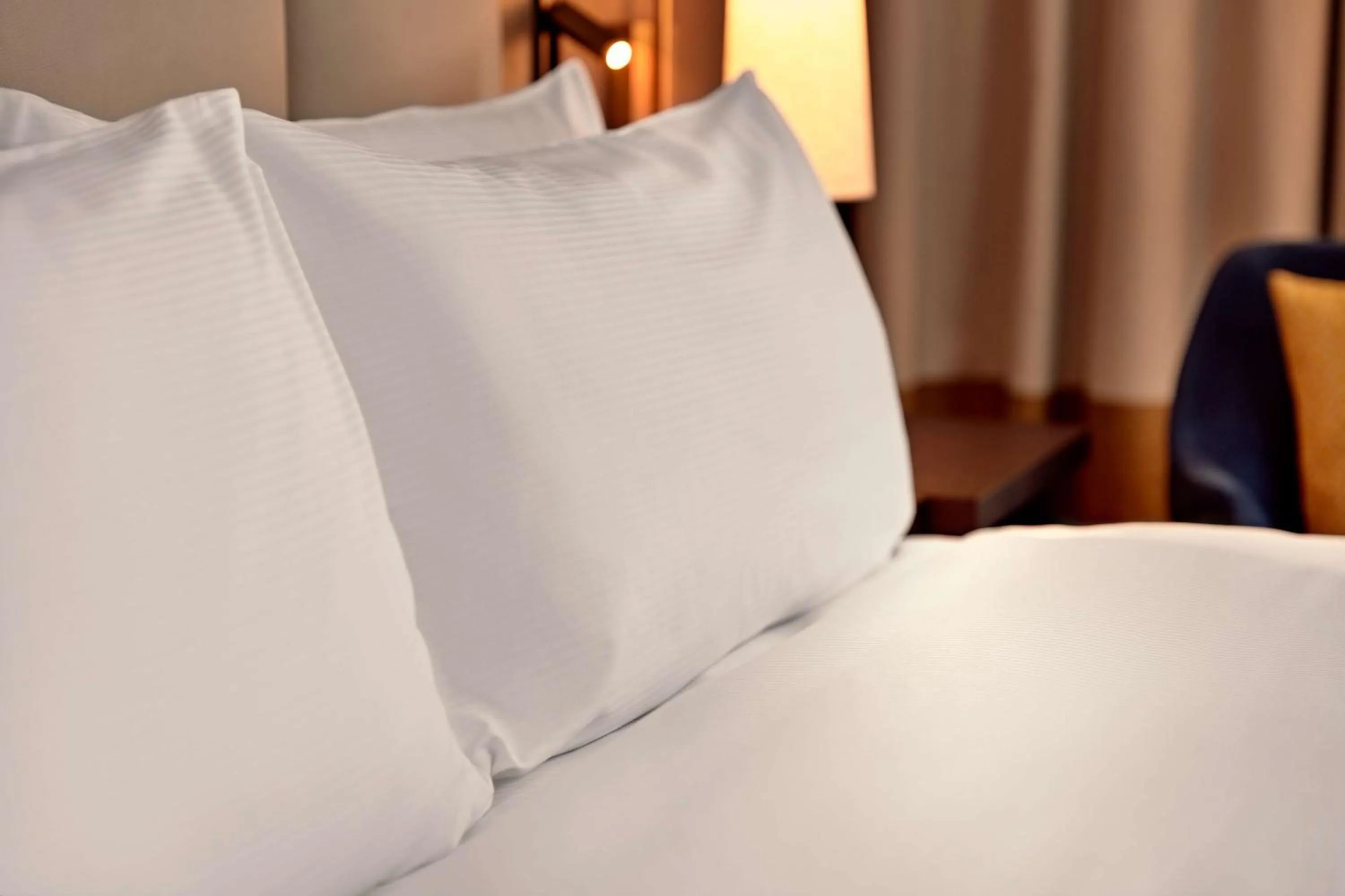 King Executive Room in Hilton Vienna Park