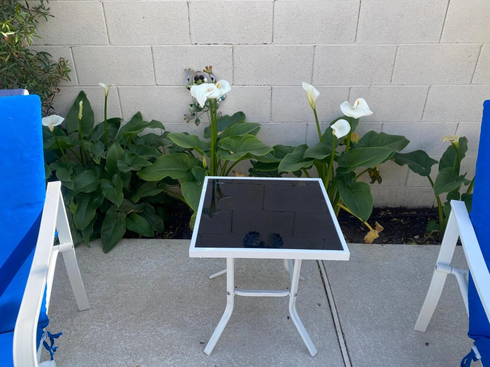 Swimming pool in Luxury 1900 SQ FT House Huge 46 FT Pool & Hot SPA