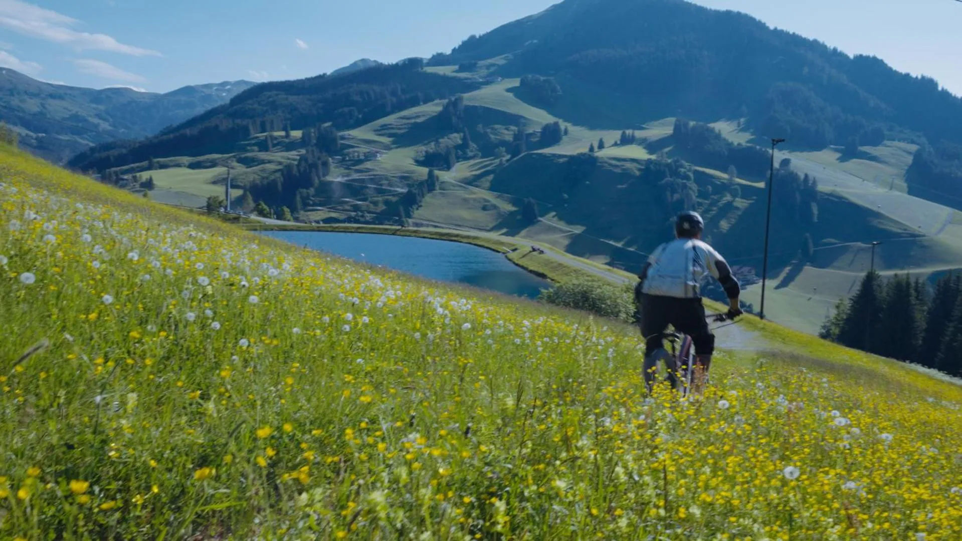 Natural landscape in Hotel Glücksschmiede - Hinterglemm