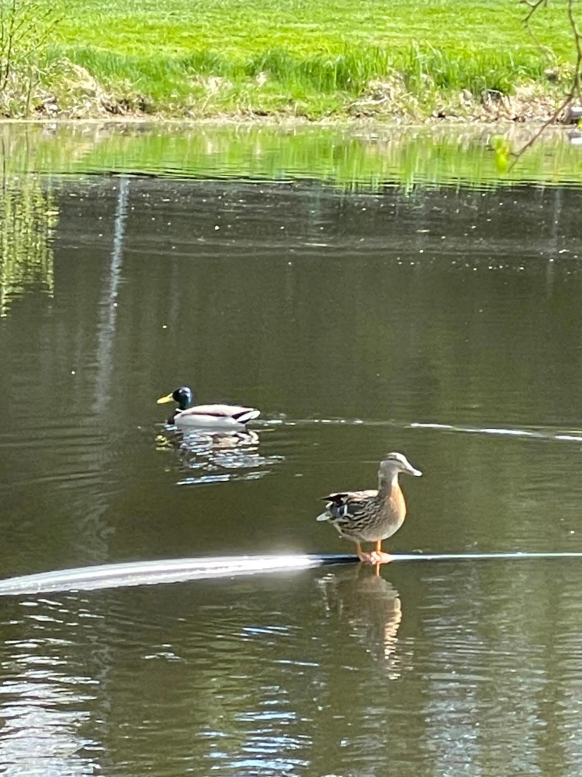 Hults-Boaryd Golf och B&B