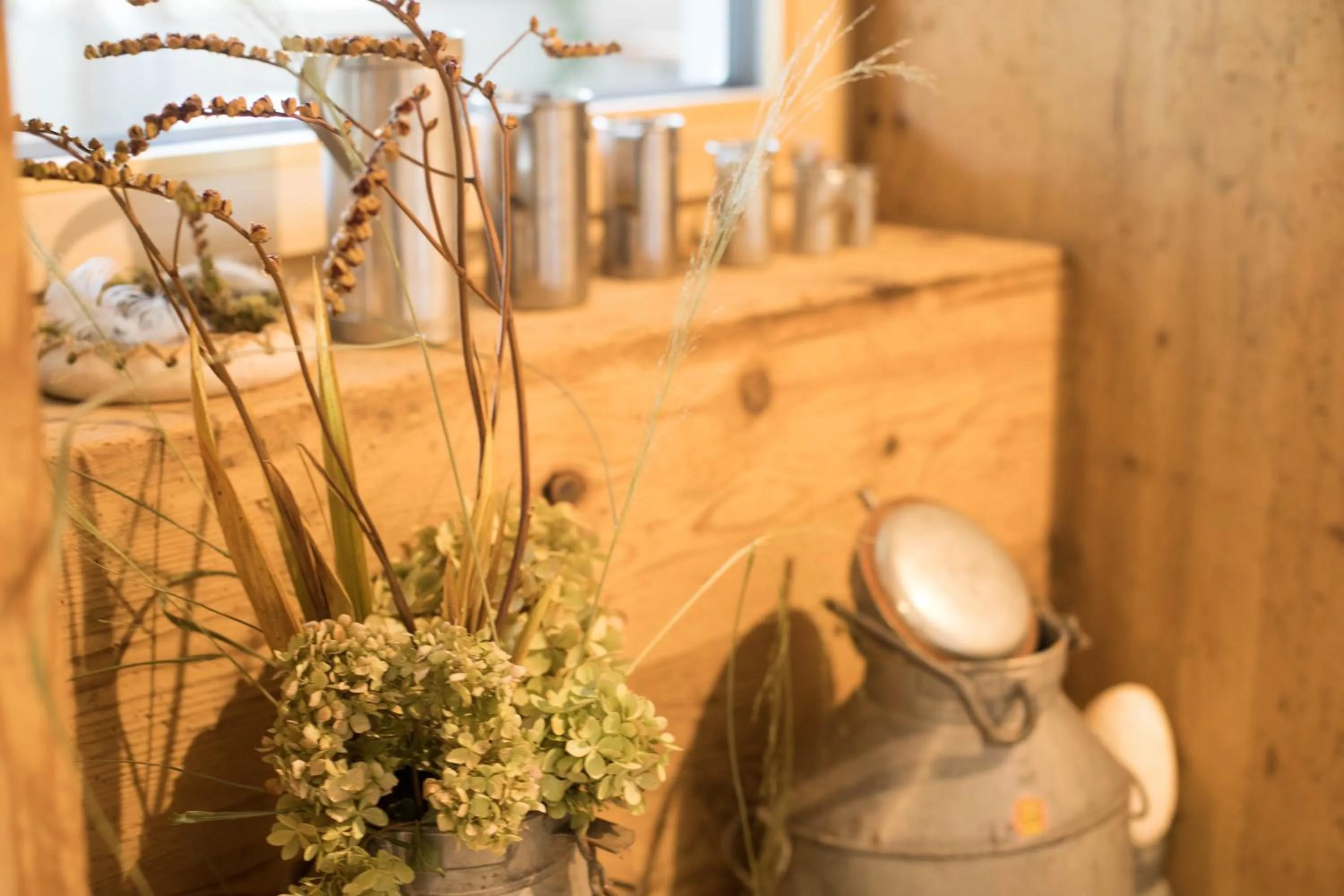 Area and facilities in Hotel Restaurant Mohren