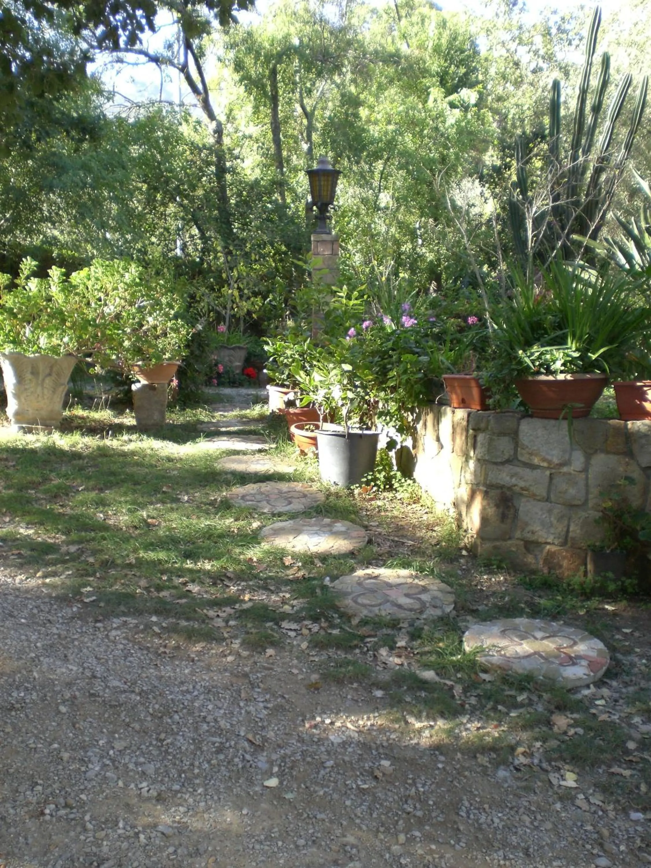 Natural landscape in B&B Villa Calagioli