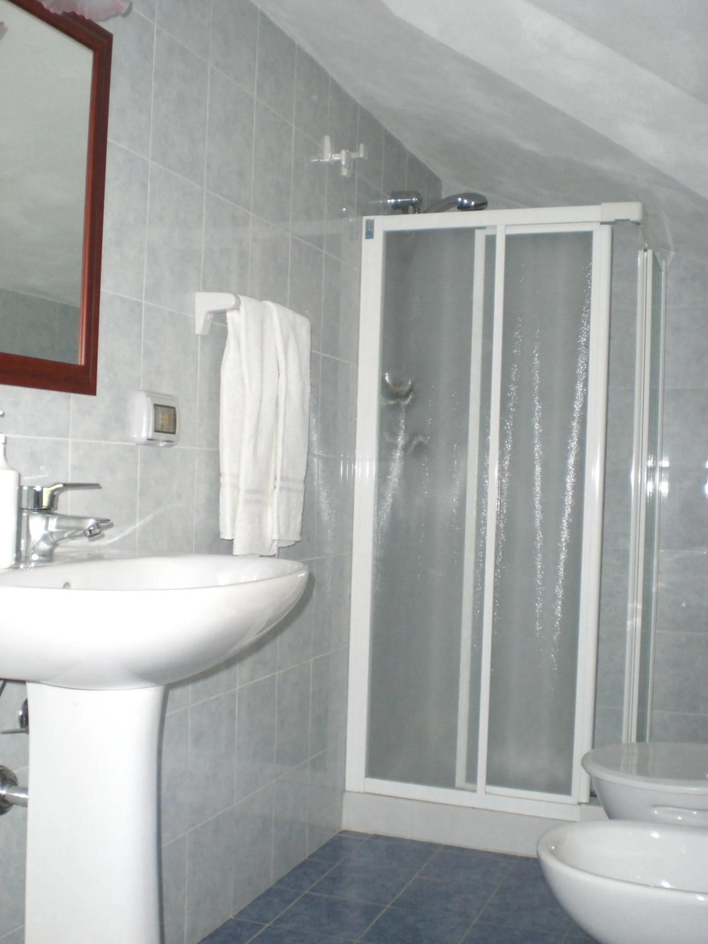 Shower in B&B Villa Calagioli