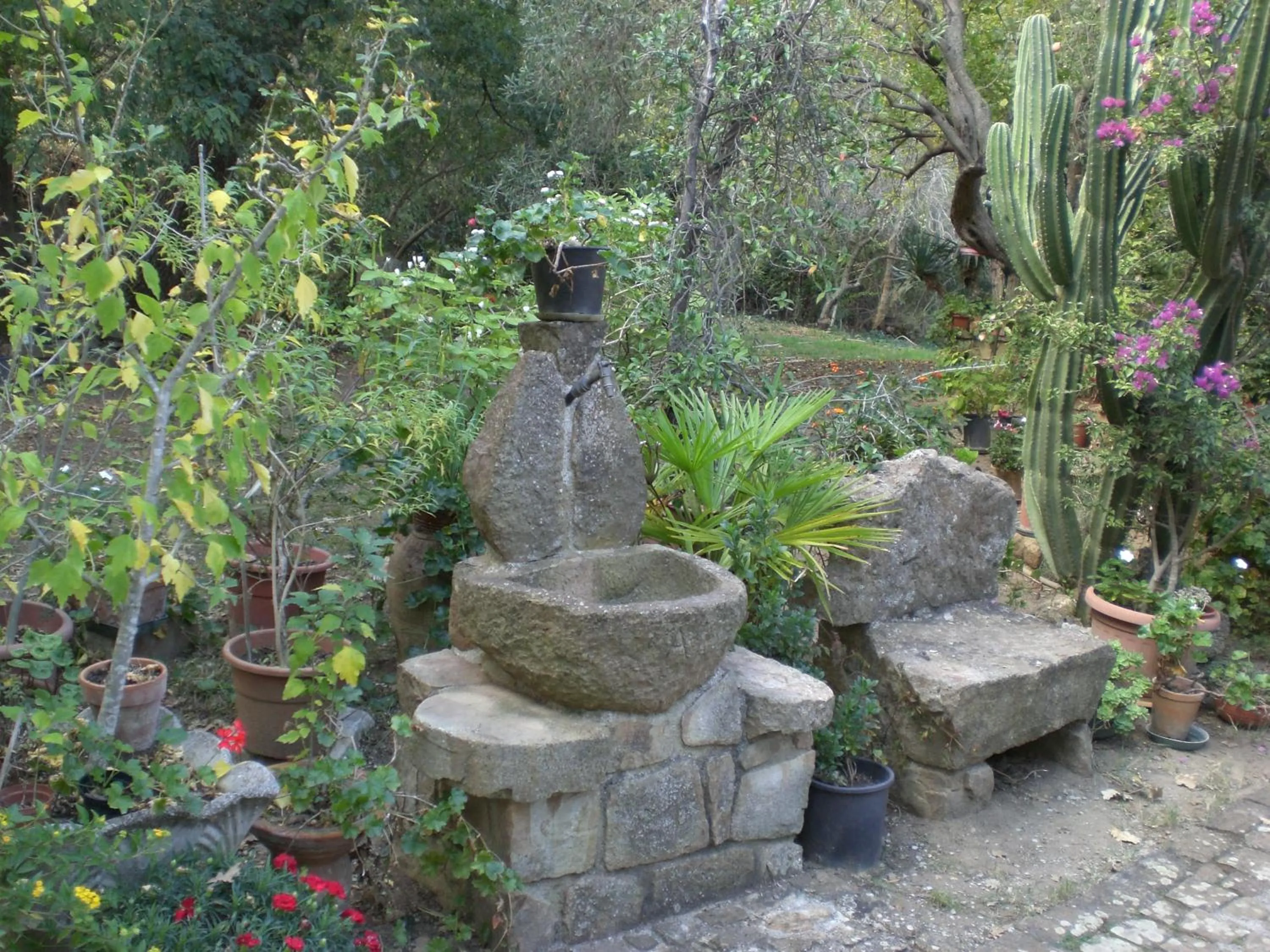 Garden in B&B Villa Calagioli
