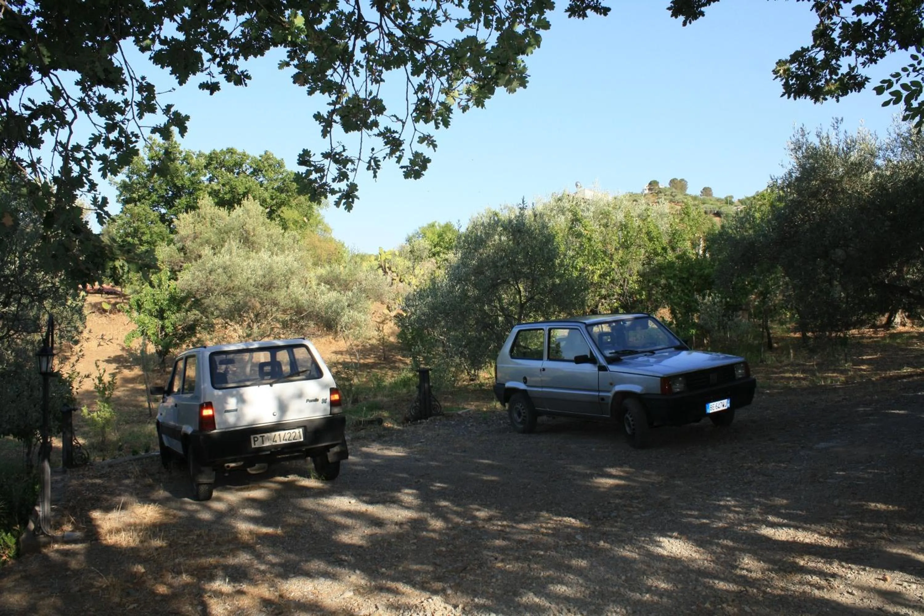 Natural landscape in B&B Villa Calagioli