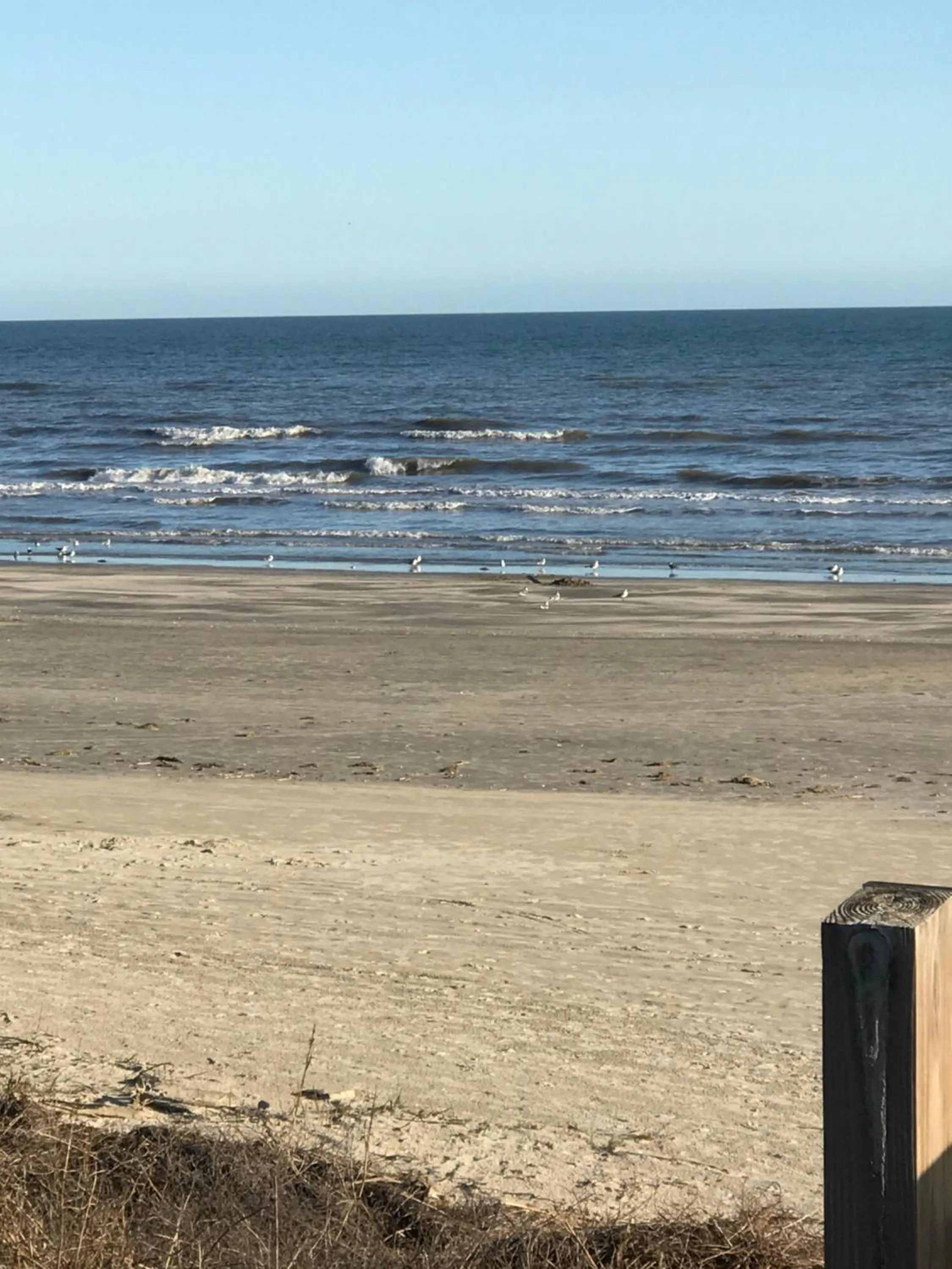 Beach in Holiday Inn Club Vacation Galveston Seaside Resort