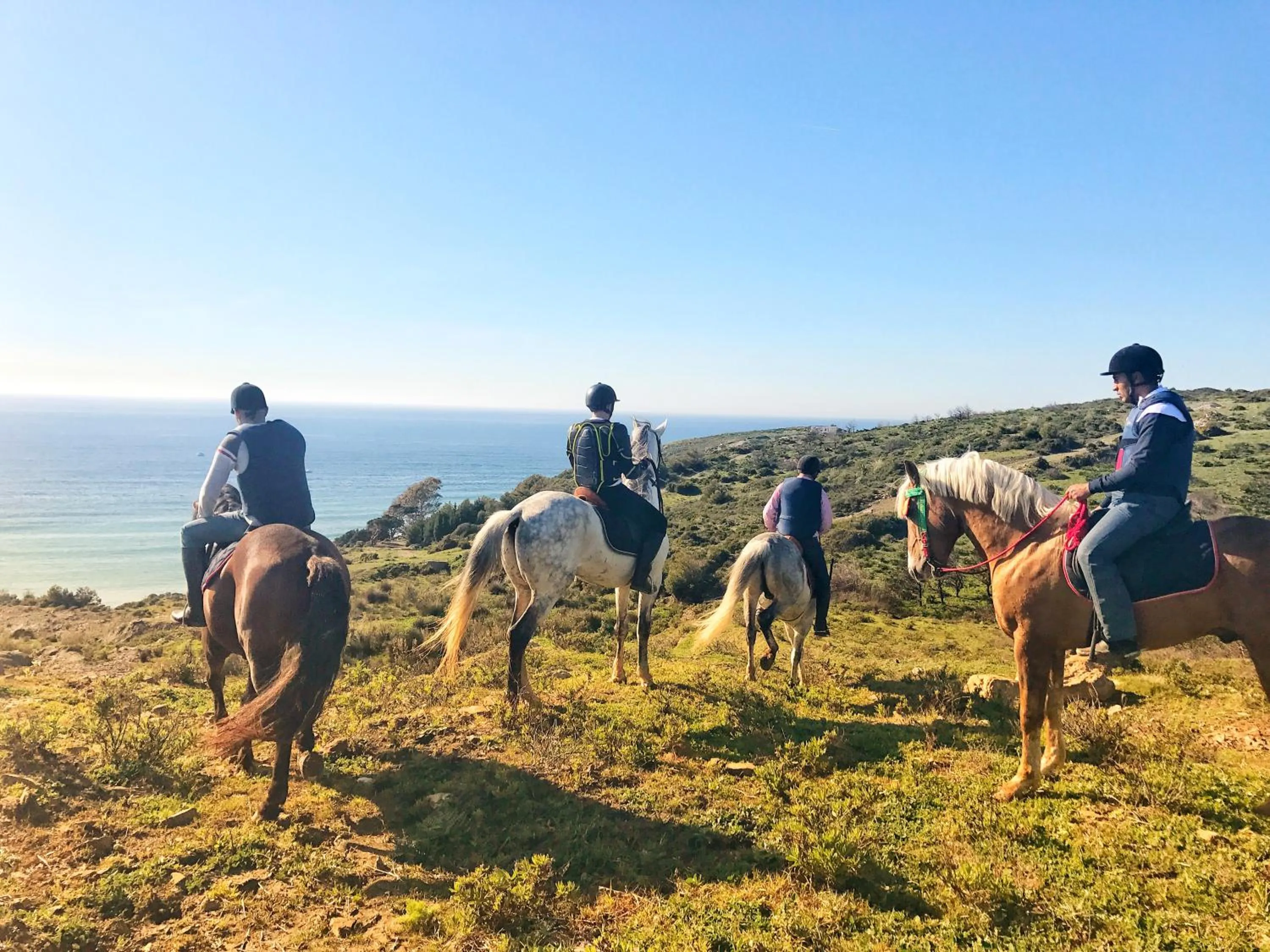 Activities in Mnar Castle