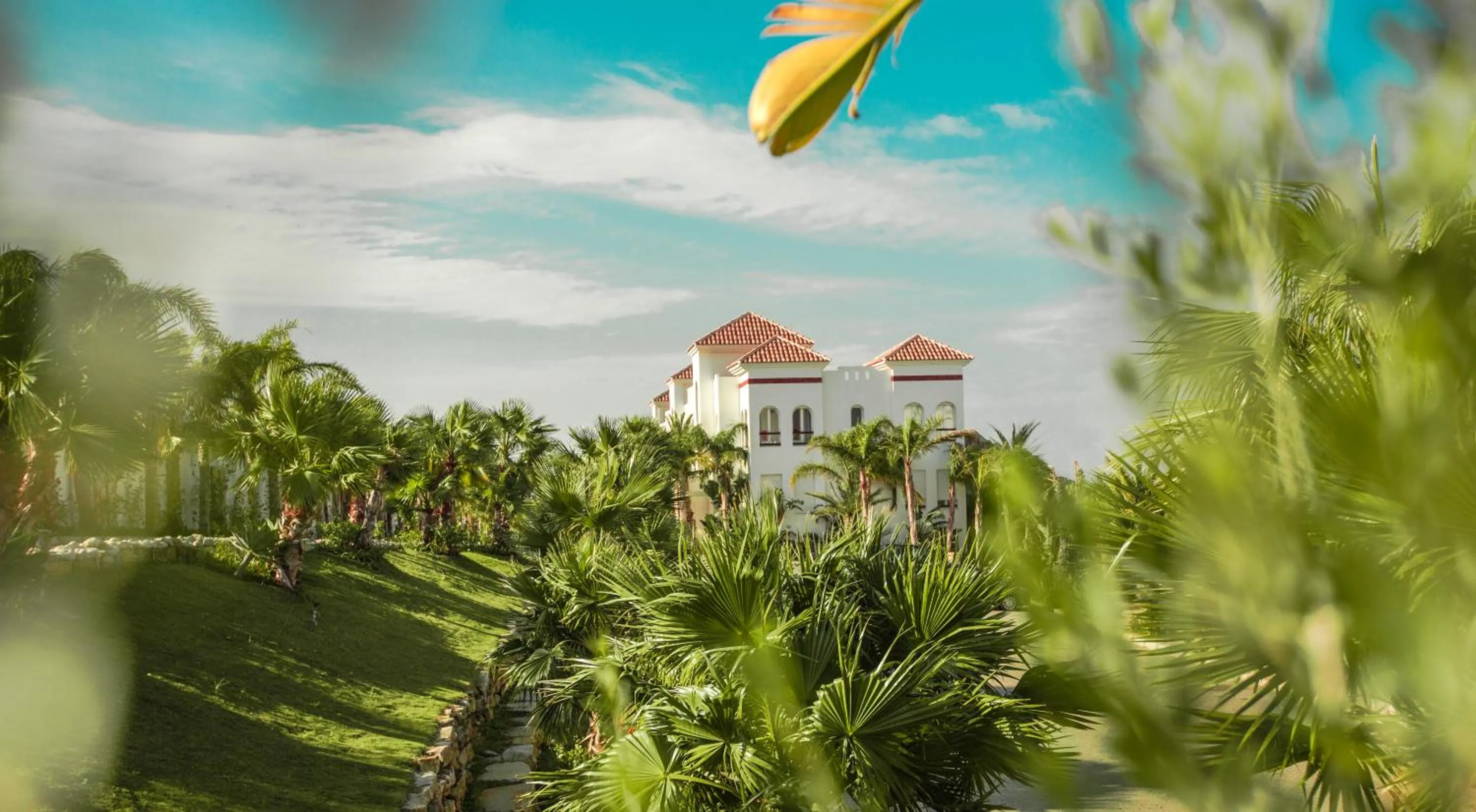 View (from property/room) in Mnar Castle
