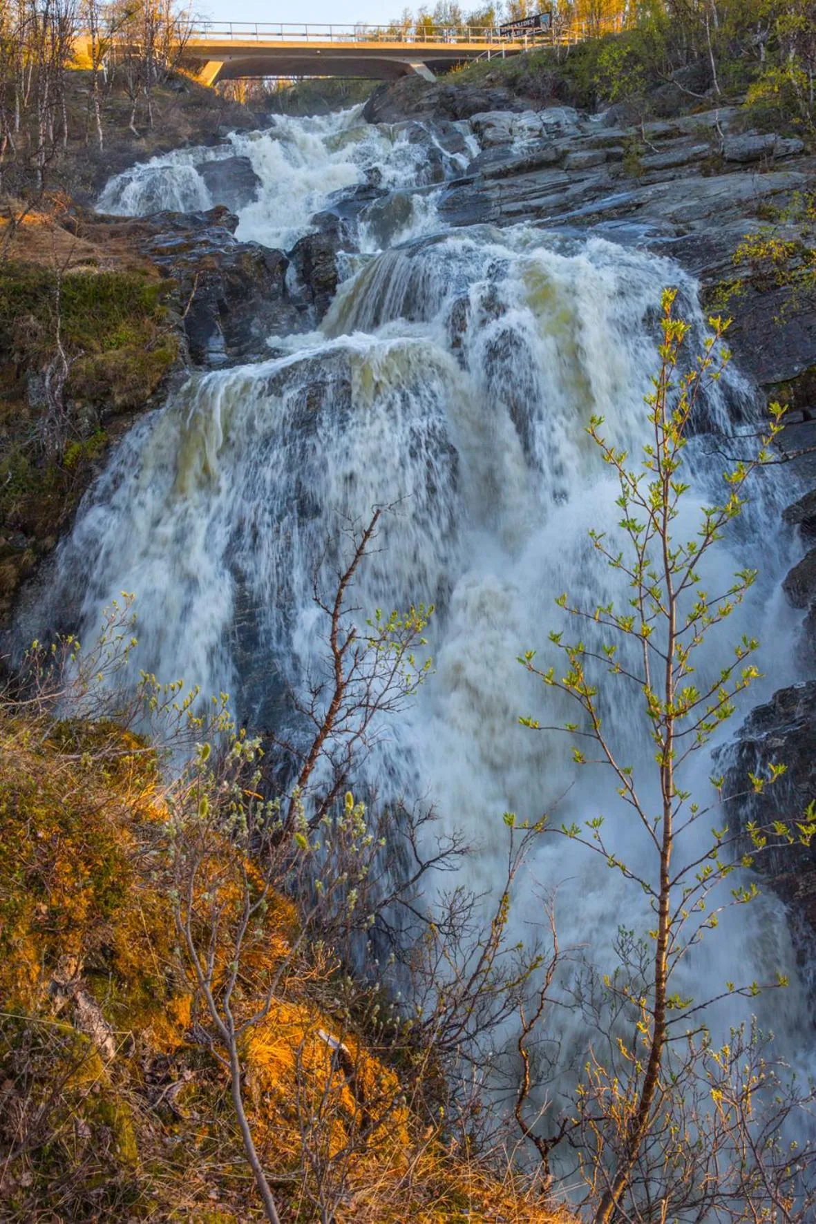 Other in Abisko Guesthouse & Activities