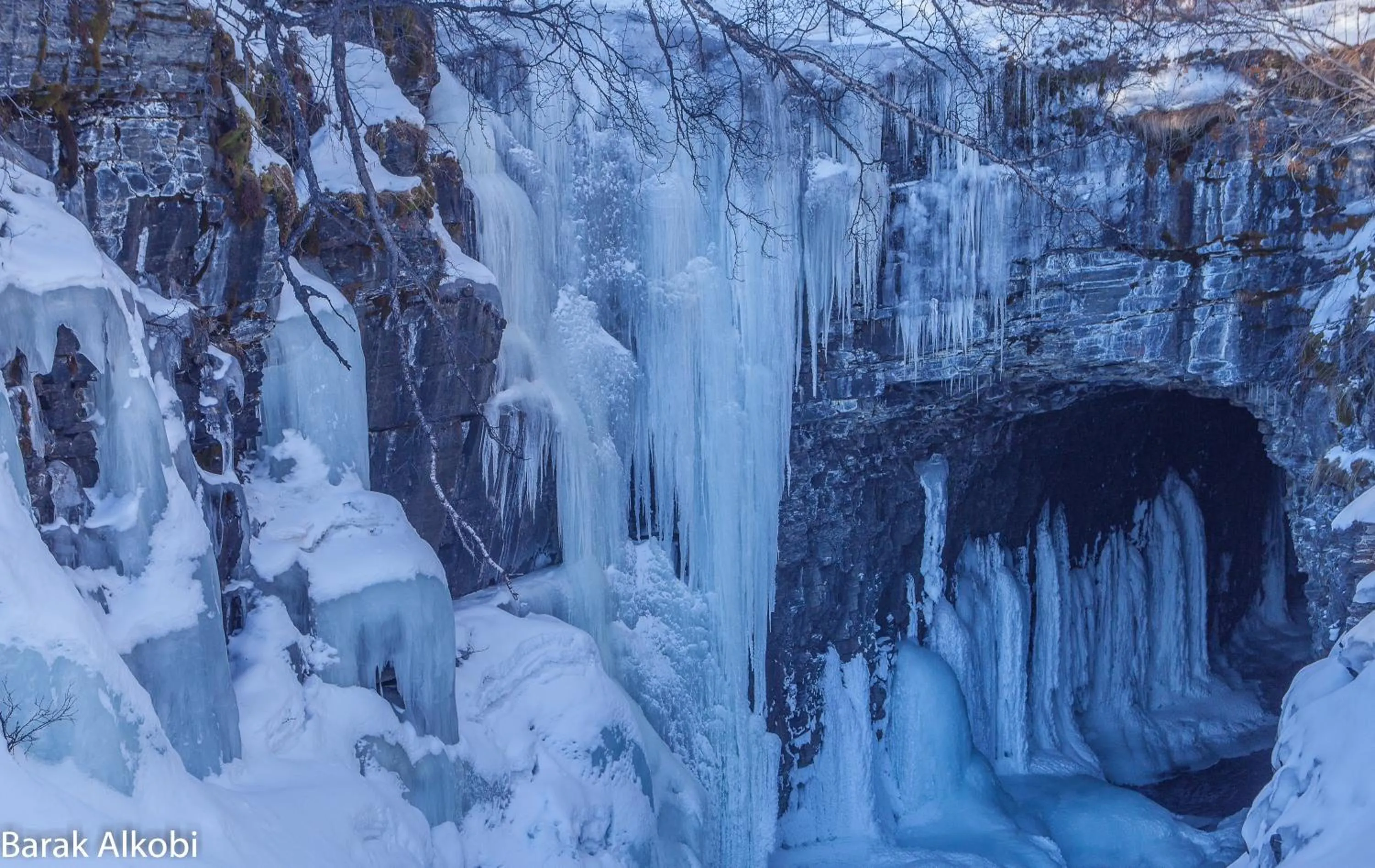 Winter in Abisko Guesthouse & Activities