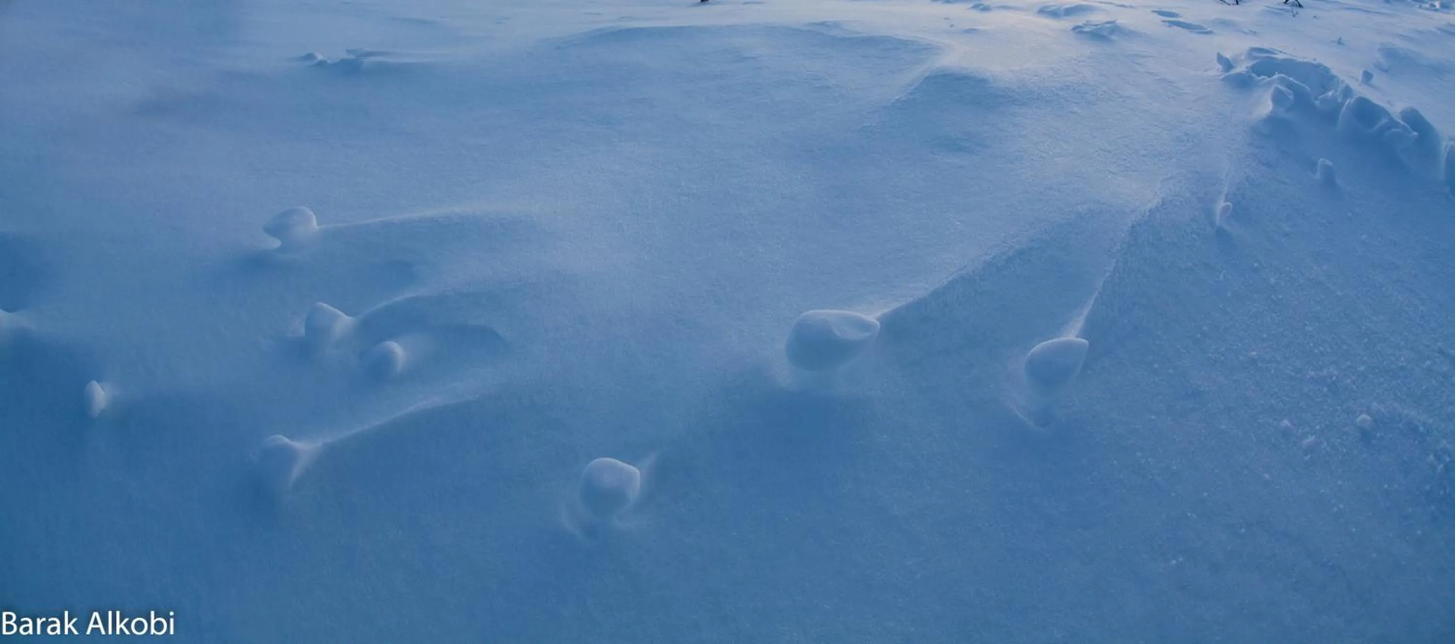 Winter in Abisko Guesthouse & Activities