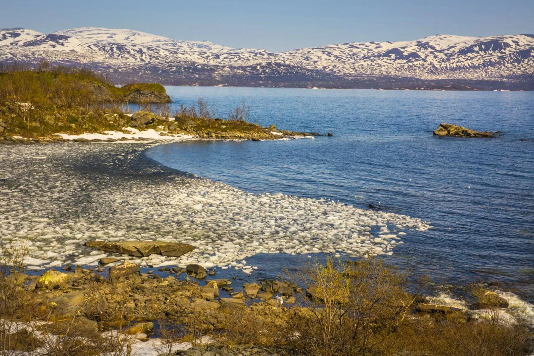 Spring in Abisko Guesthouse & Activities