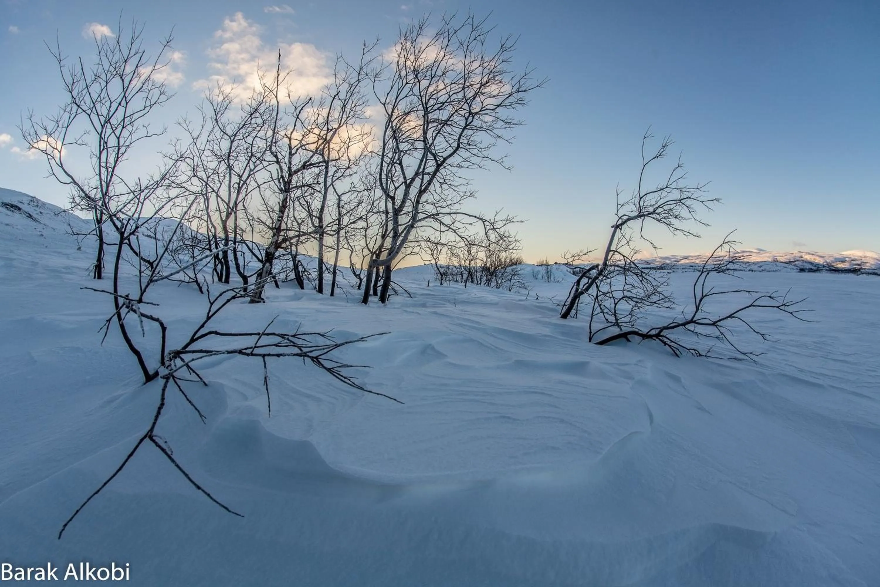 Winter in Abisko Guesthouse & Activities