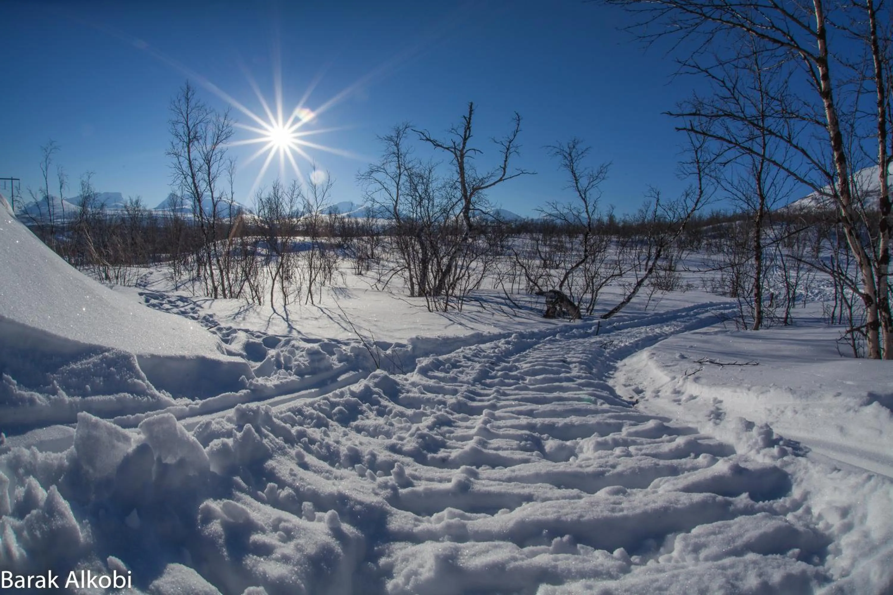 Winter in Abisko Guesthouse & Activities