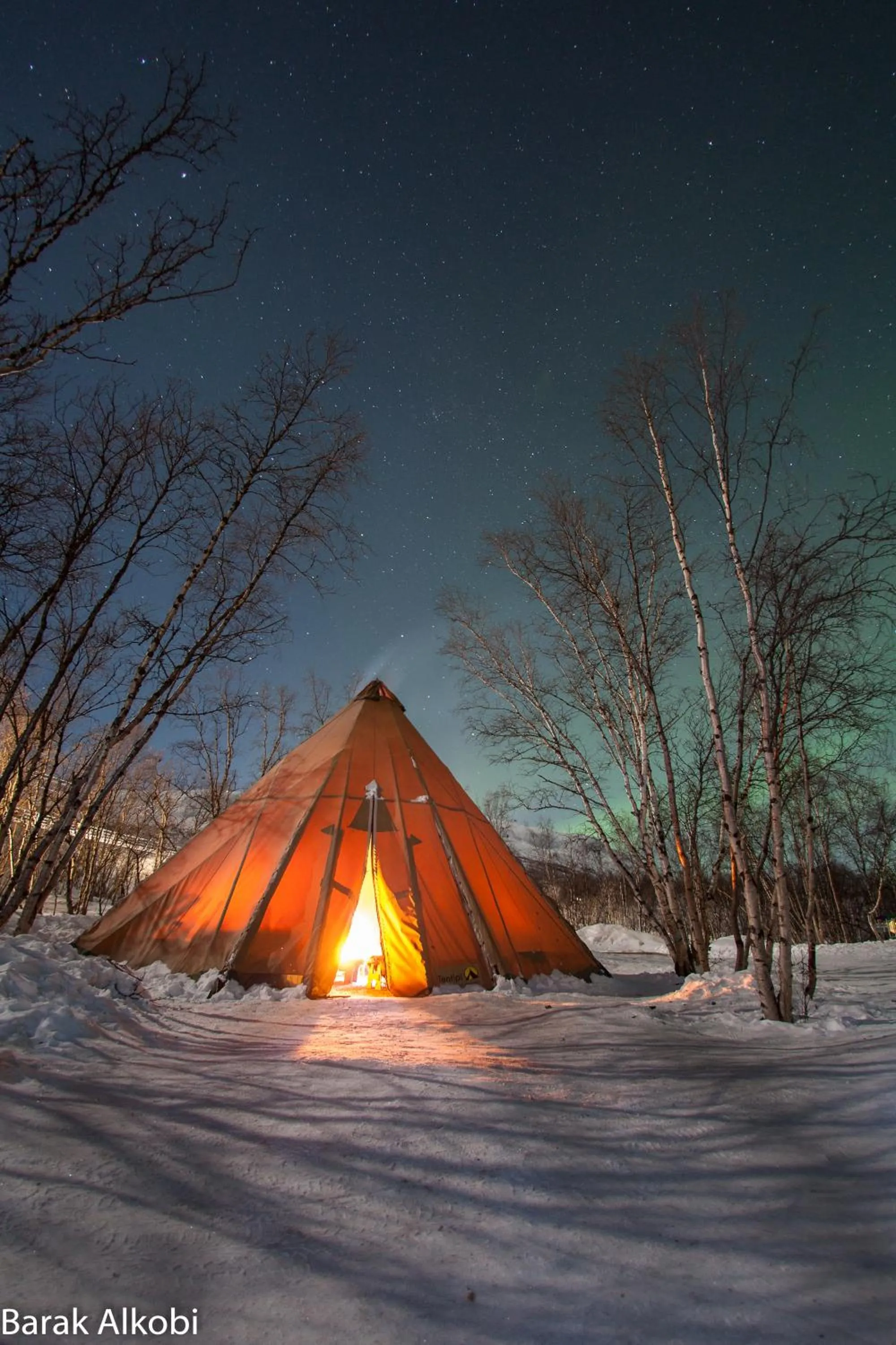 Winter in Abisko Guesthouse & Activities