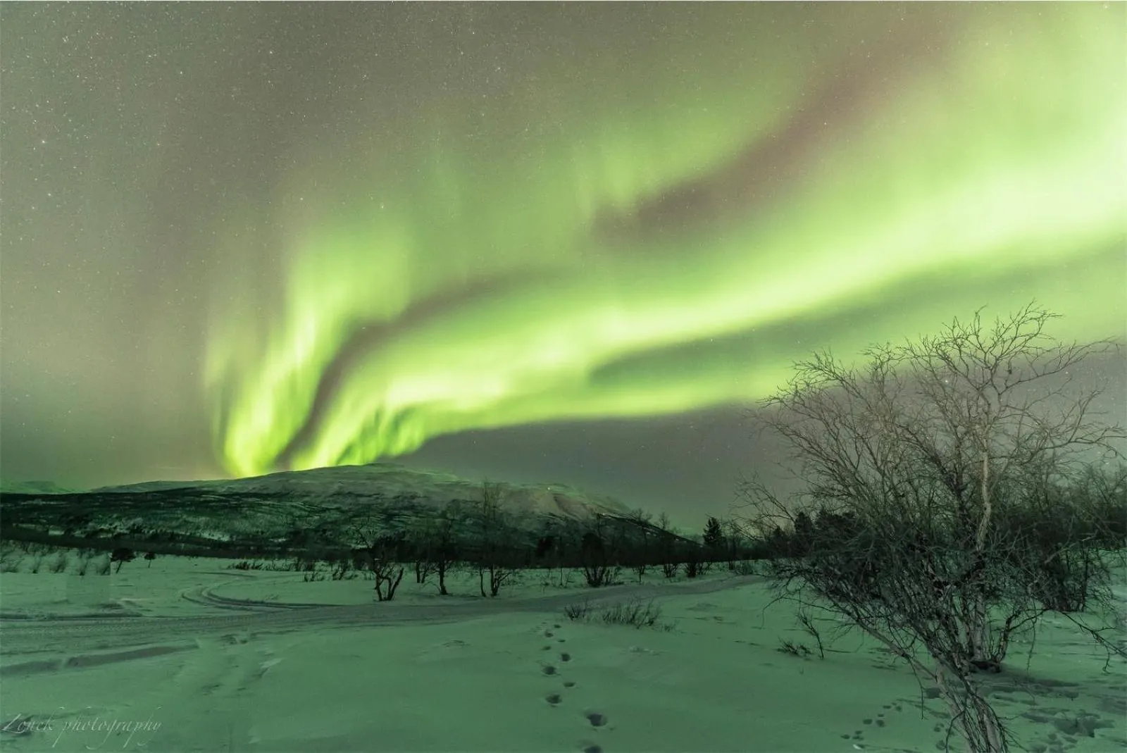 Abisko Guesthouse & Activities