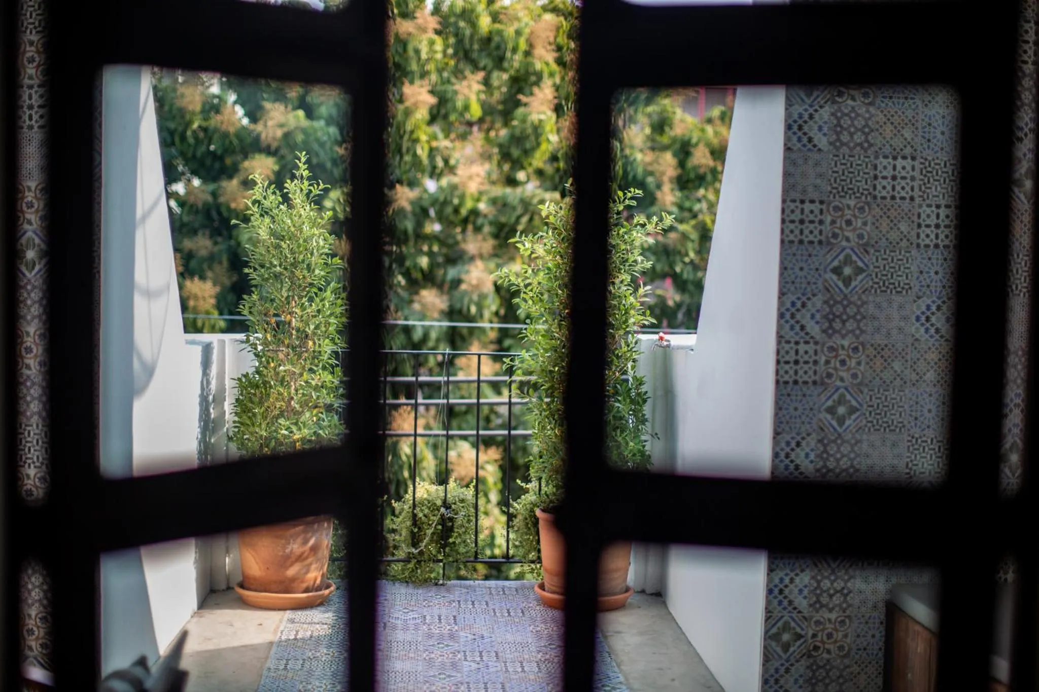 Garden view in My Way Hostel Chiang Mai