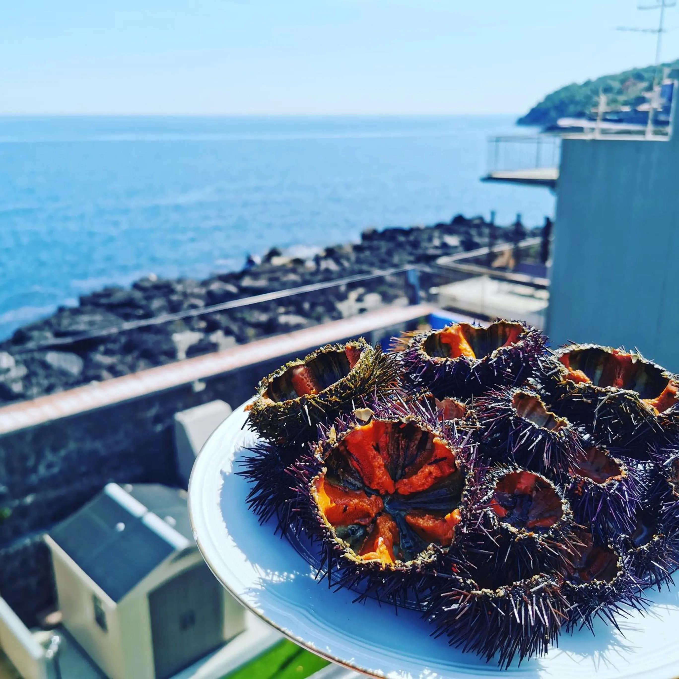 Balcony/Terrace in Made in Sicily Santa Tecla