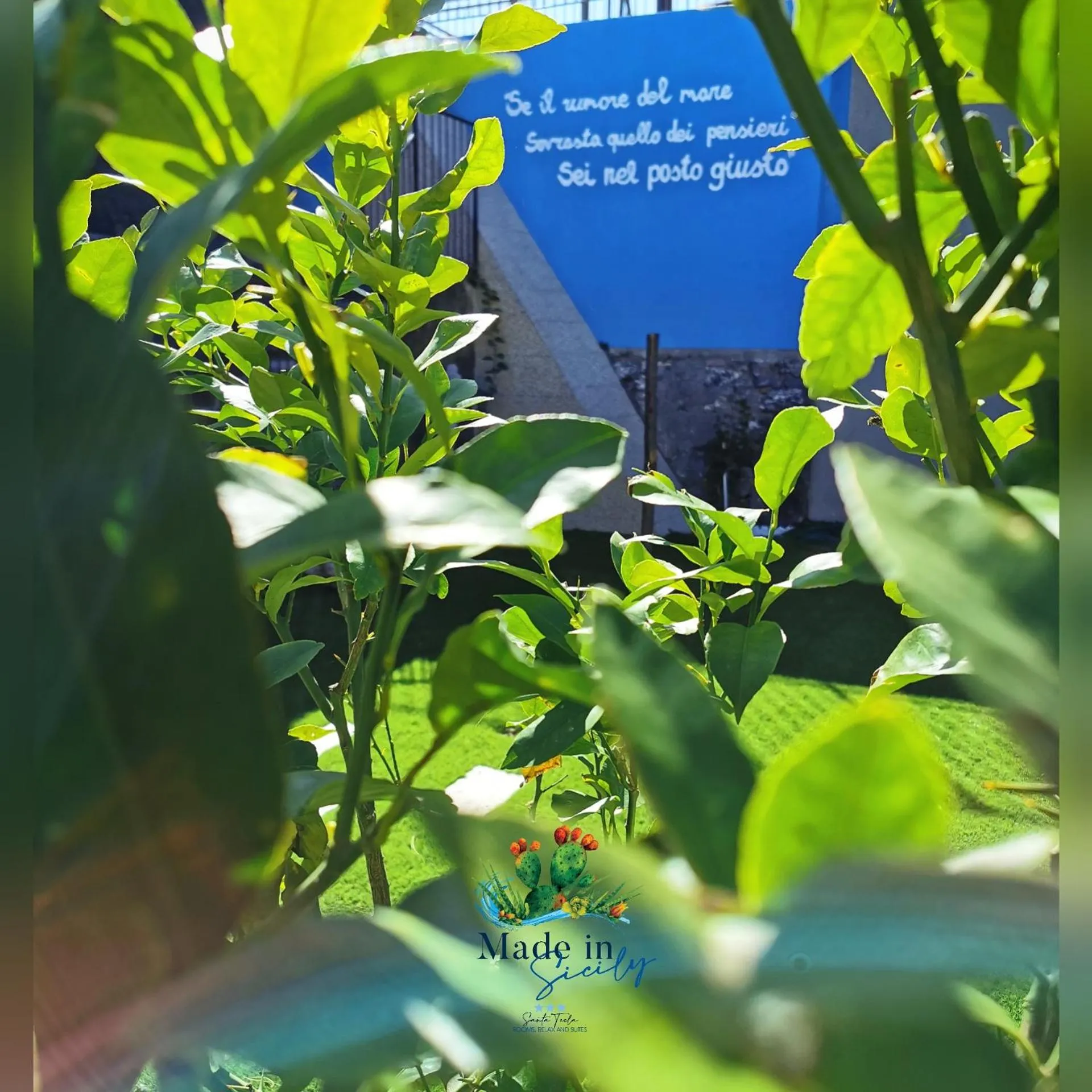 Garden in Made in Sicily Santa Tecla