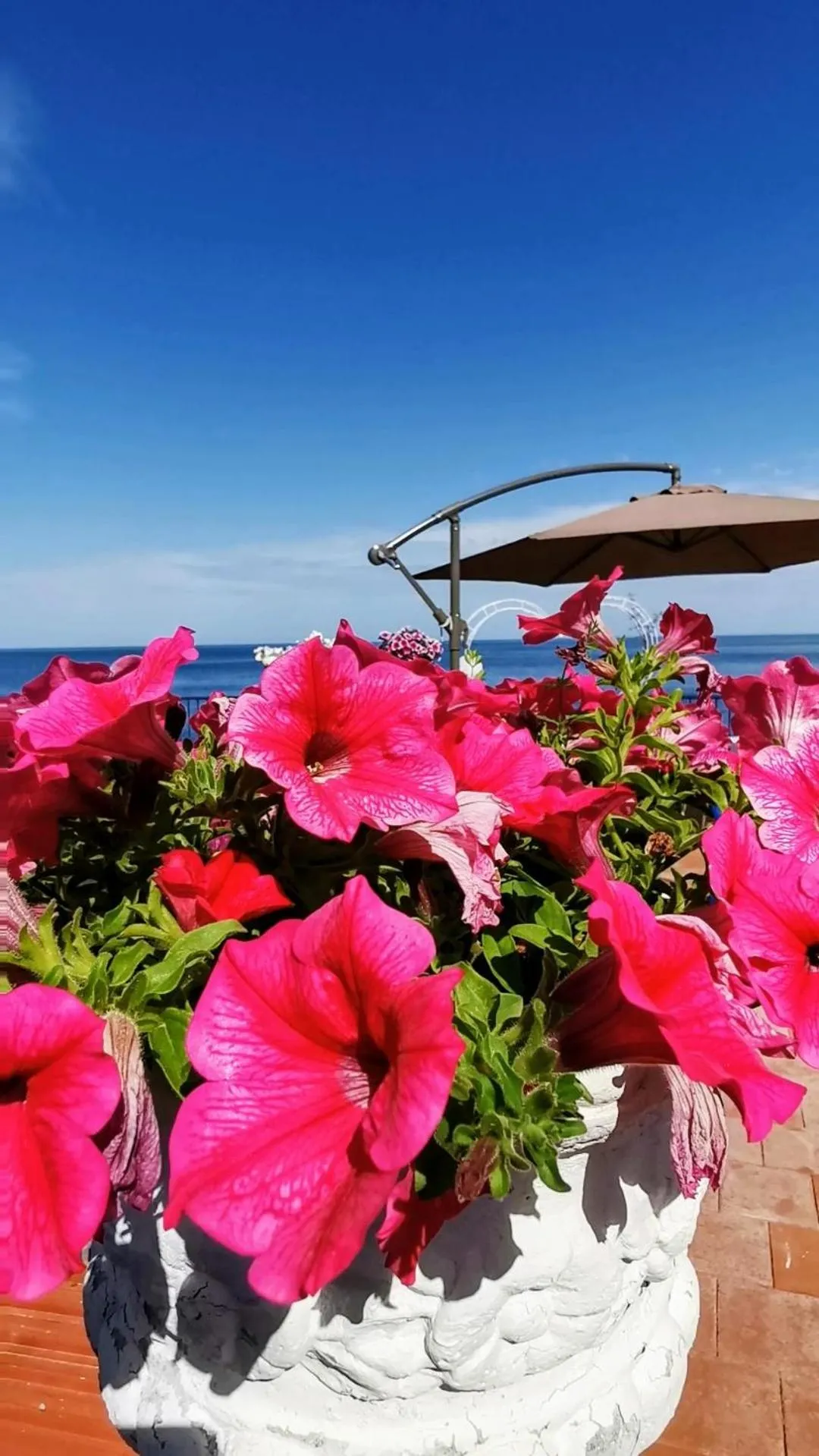 Sea view in Made in Sicily Santa Tecla