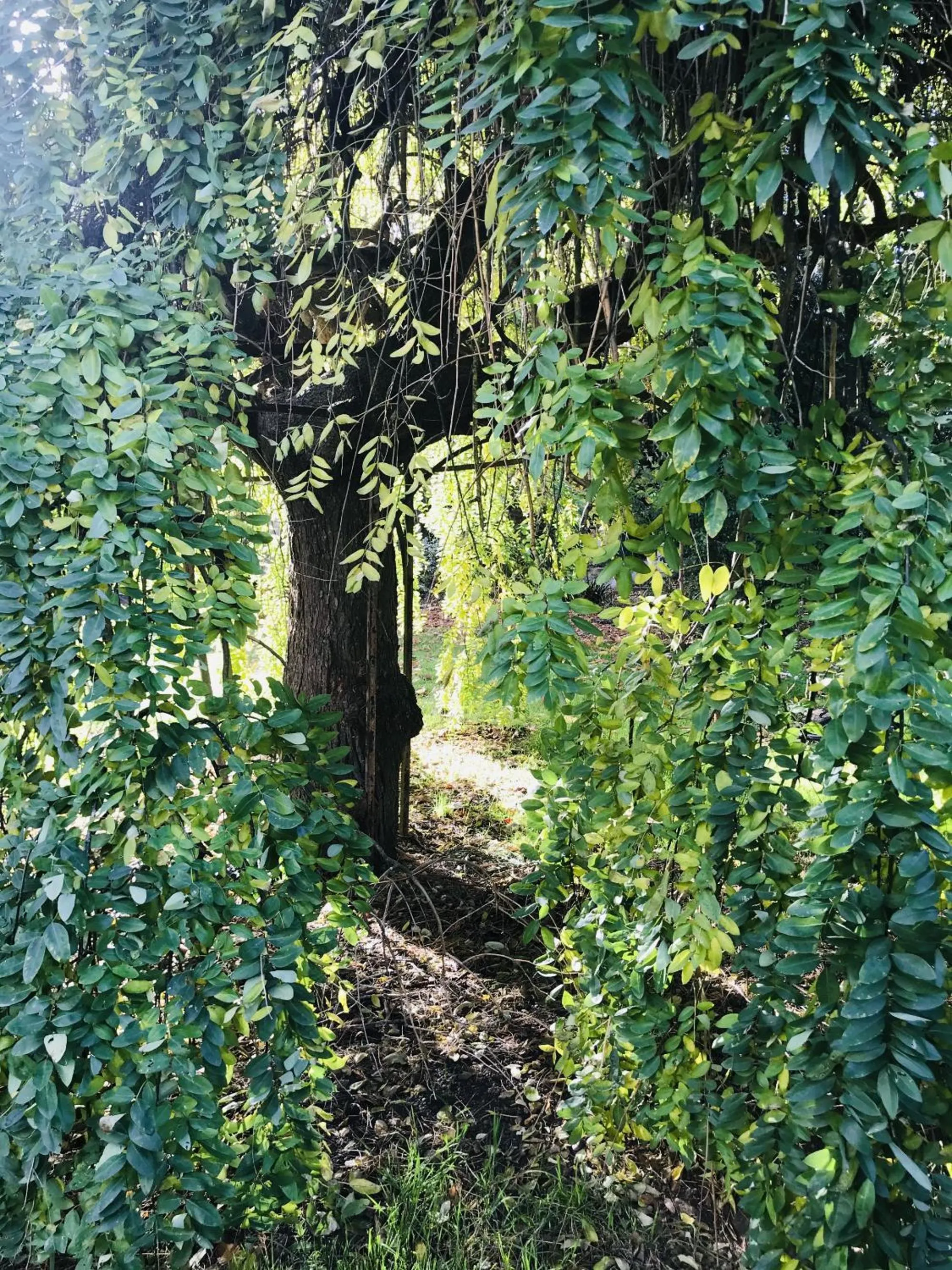 Natural landscape in Le Clos du Roc
