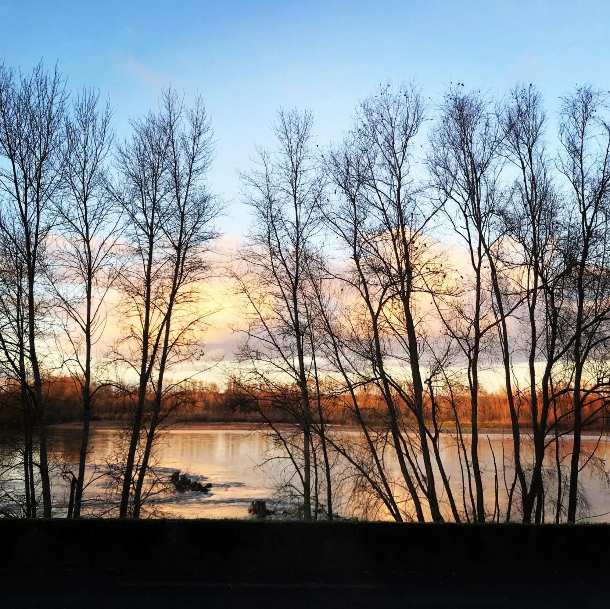 Natural landscape in Le Clos du Roc