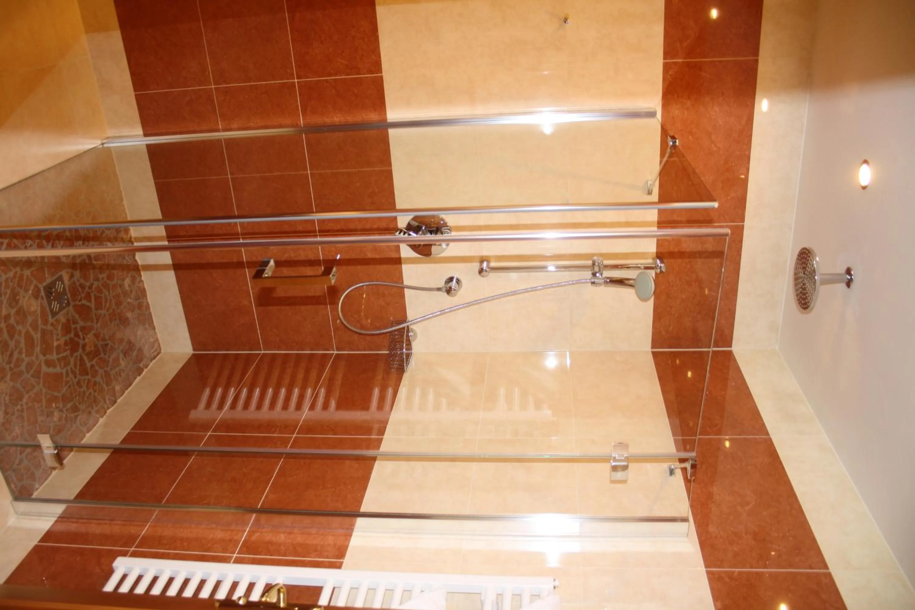 Shower in Posthotel Radstadt